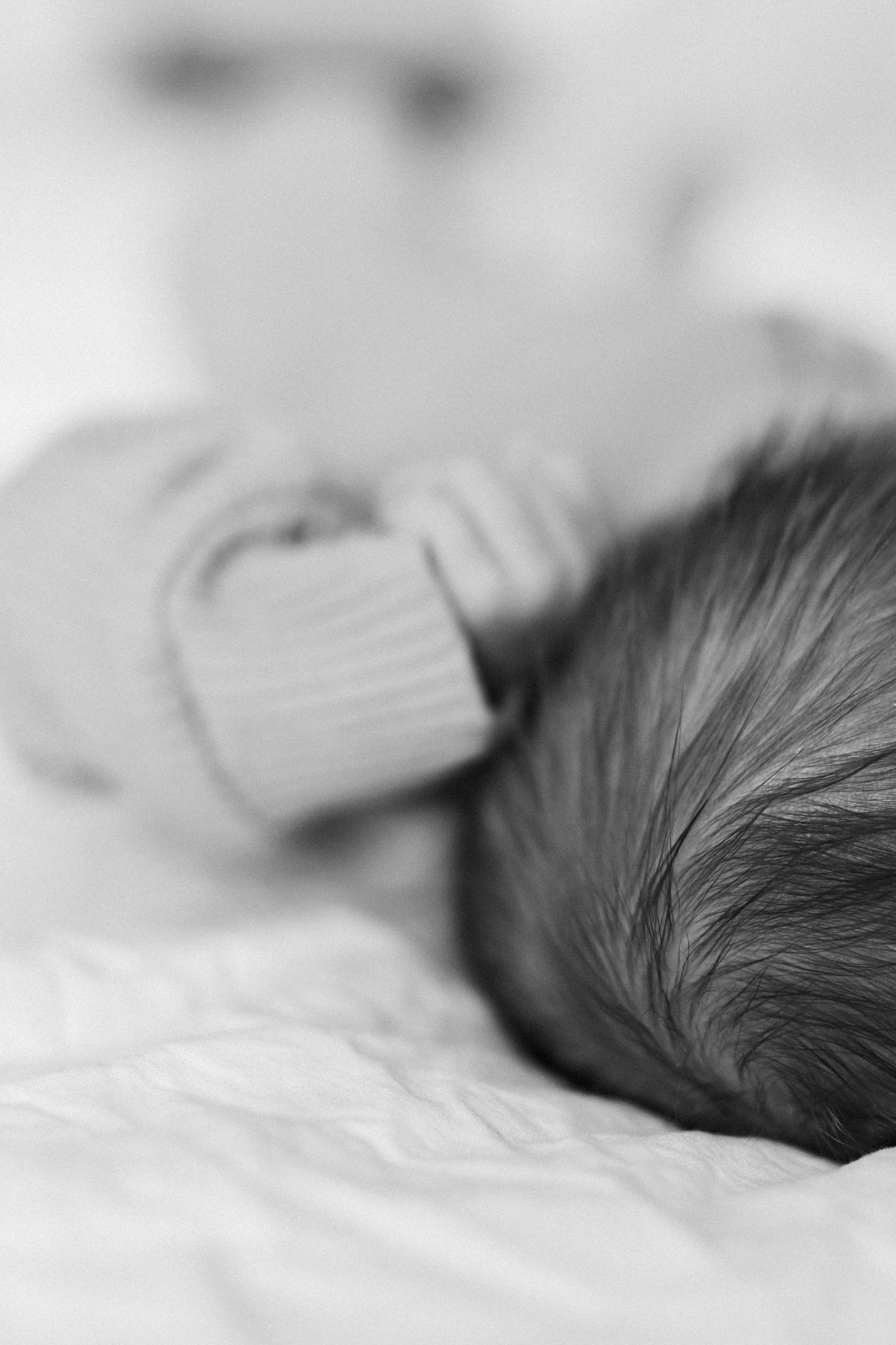 Maria&family. Фотограф Москва