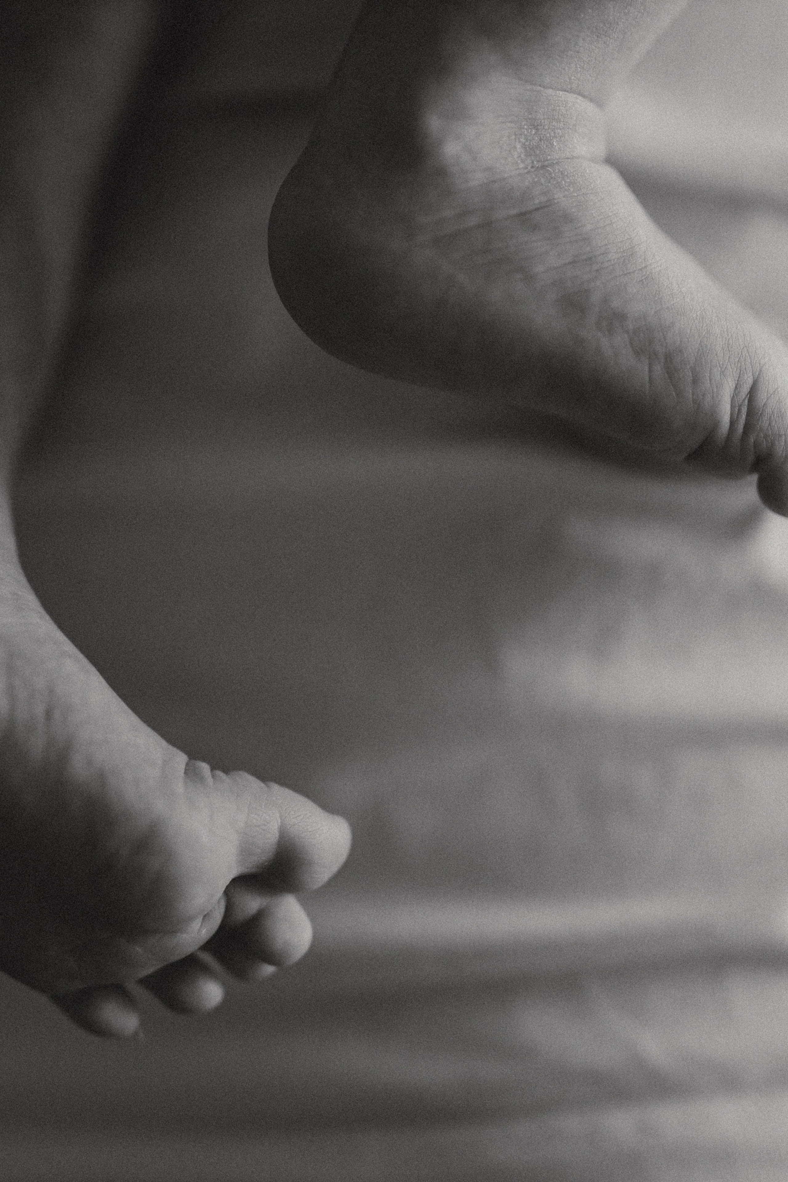 Alena, Pavel, Evgeniy. Фотограф Москва