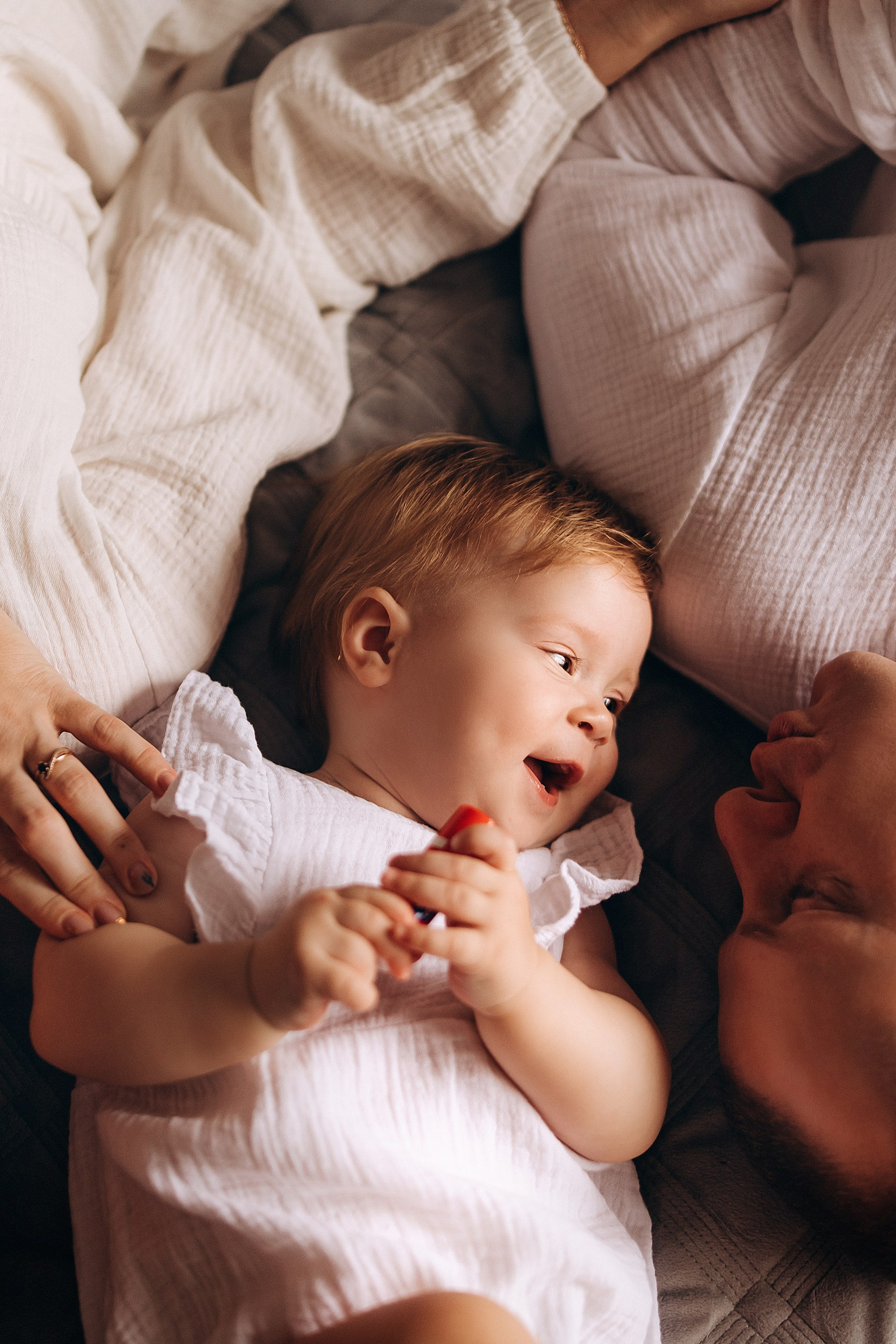 Домашняя история