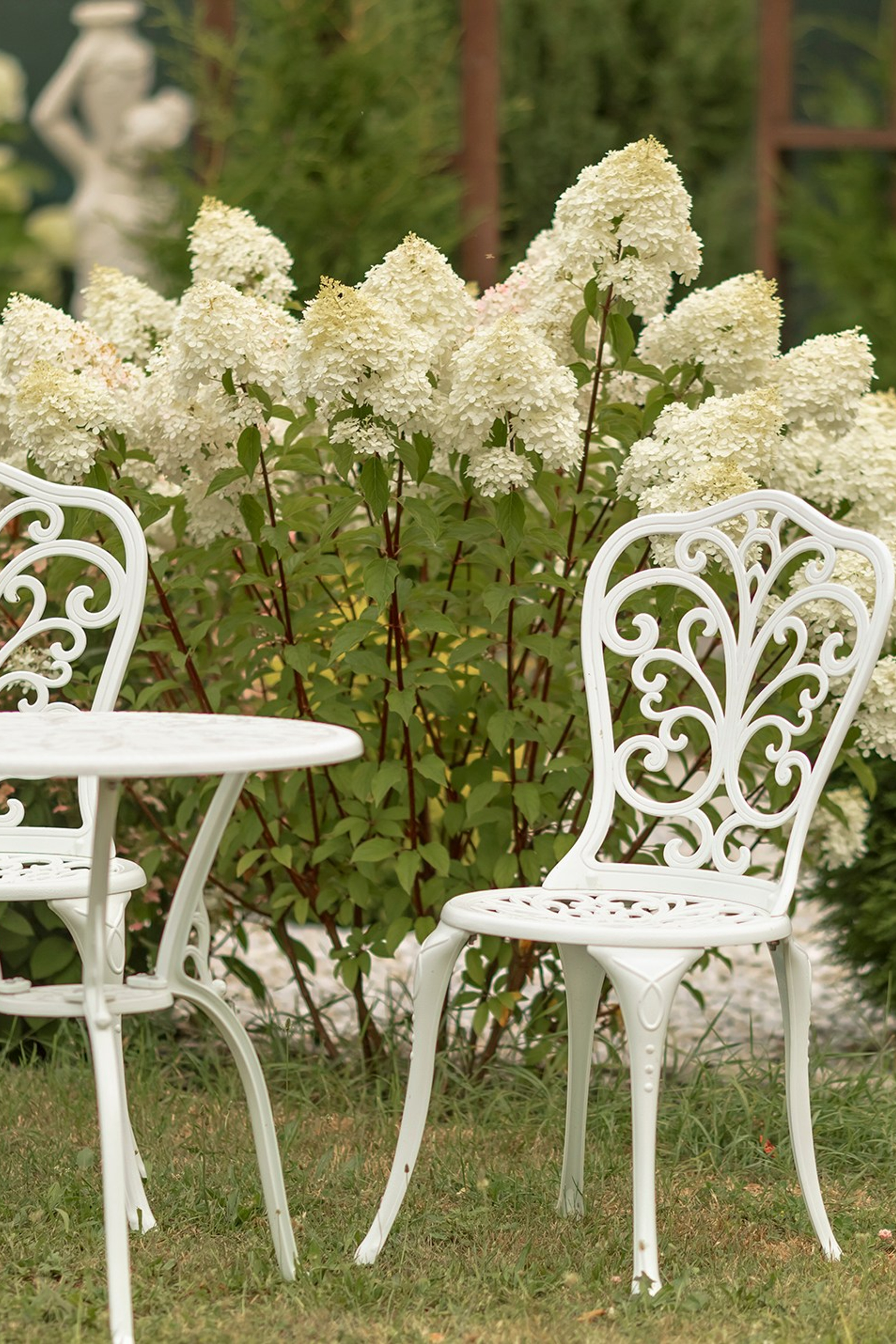 Семейные фотосессии в парке. Семейный фотограф в Димитровграде Елена Патрушева