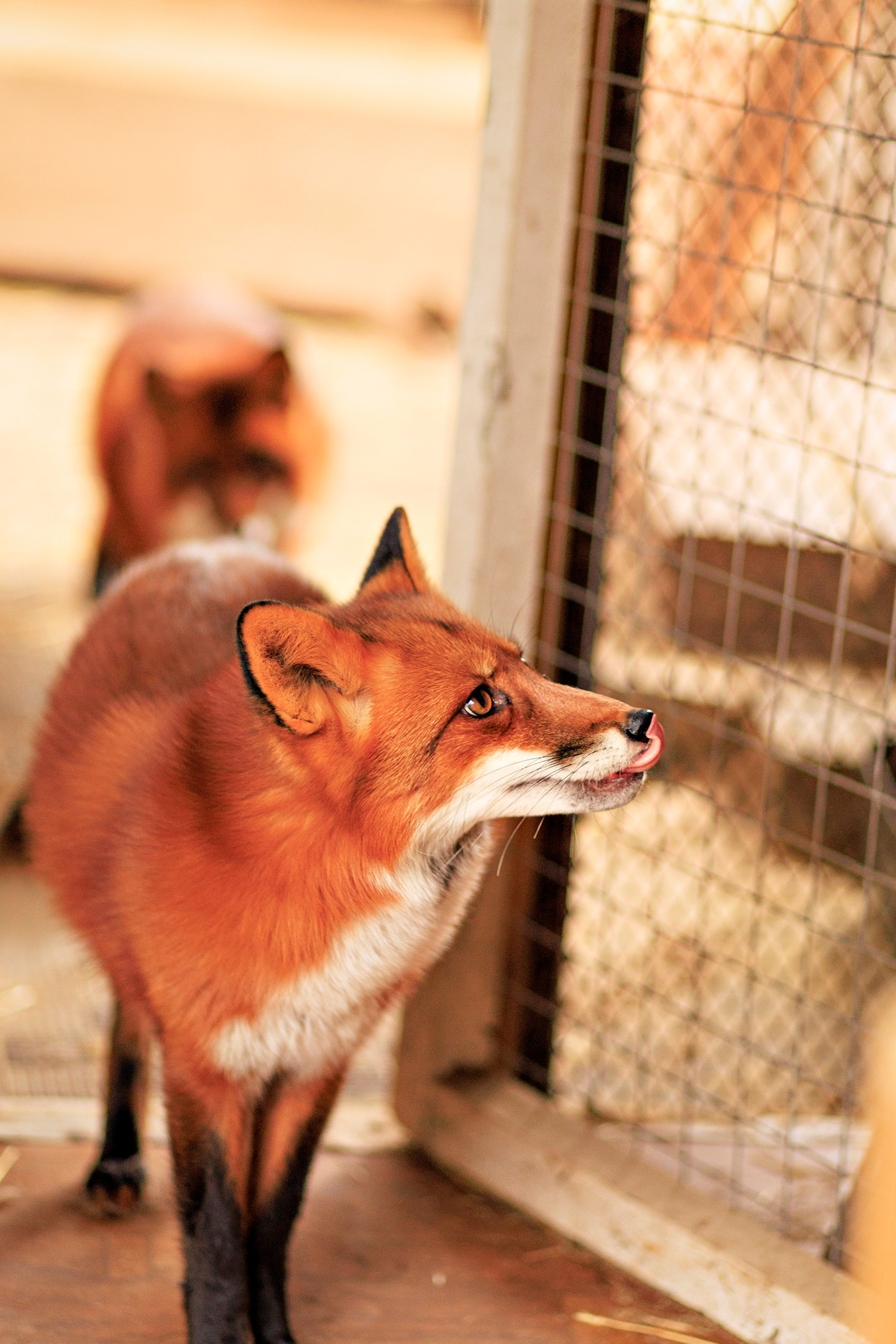 Каменистый сад в парке купидон. Семейный фотограф в Димитровграде Елена Патрушева