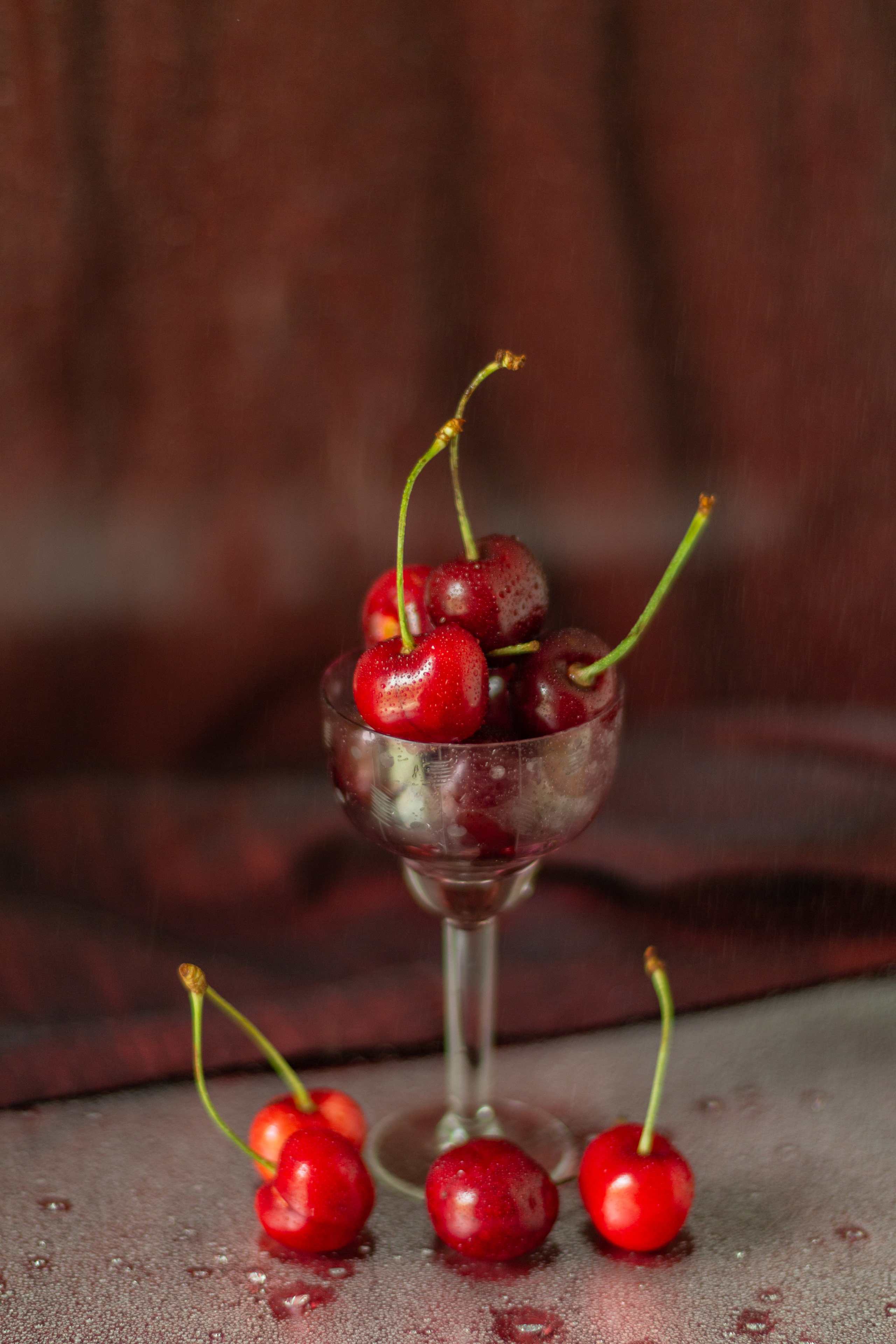 Черешня (МАКРО)