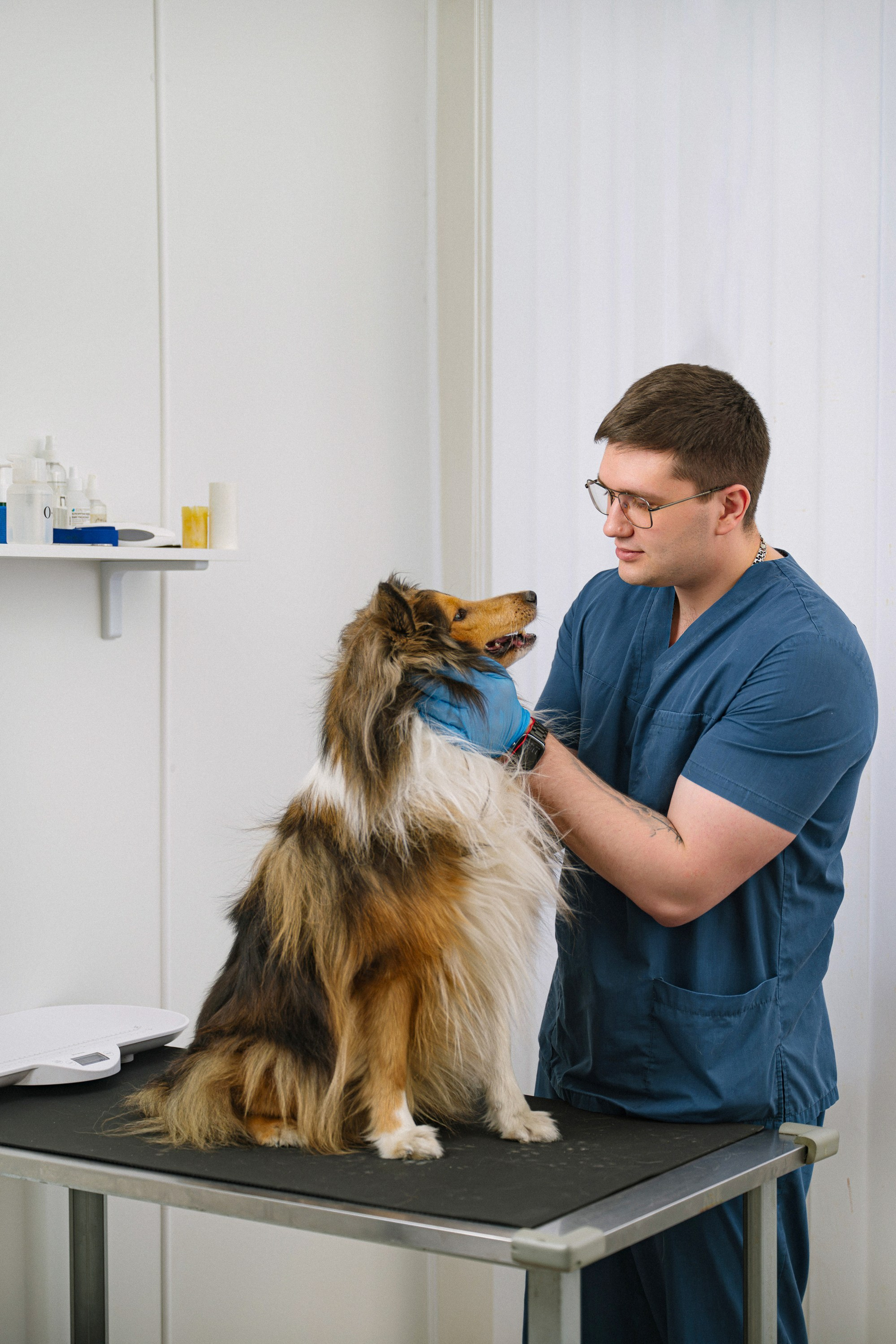 Бизнес. Свадебный и портретный фотограф в Москве Сергей Бузин