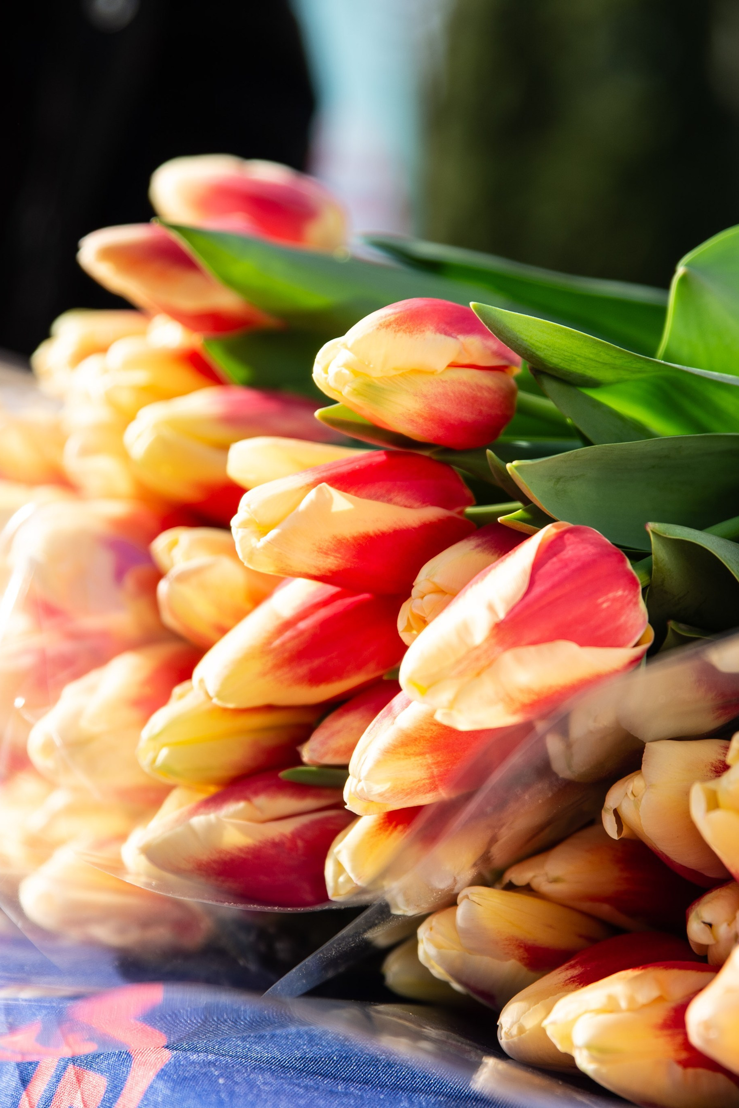 Отзывы. Фотограф в Краснодаре Алена Горбунова