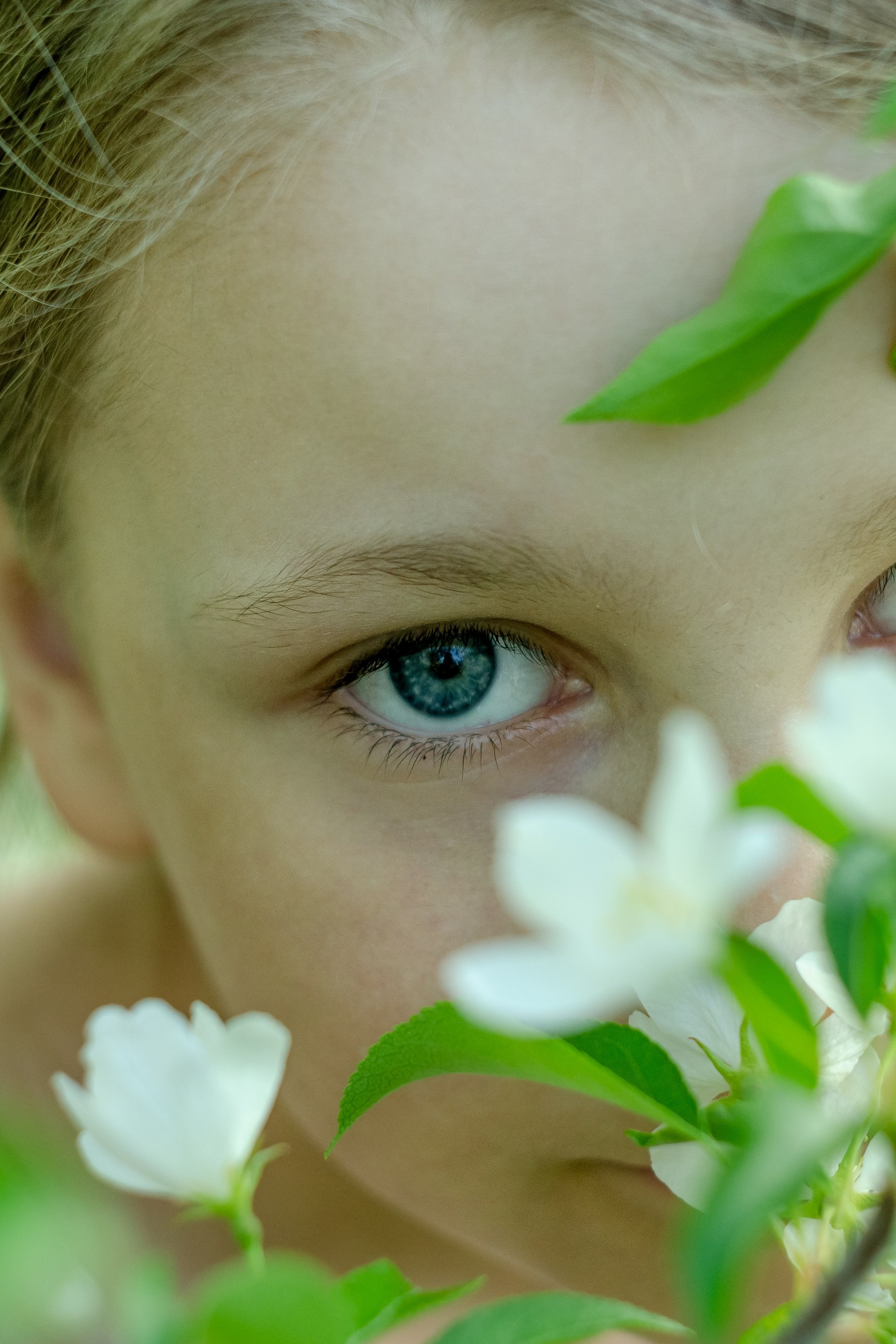 Лада в яблоках