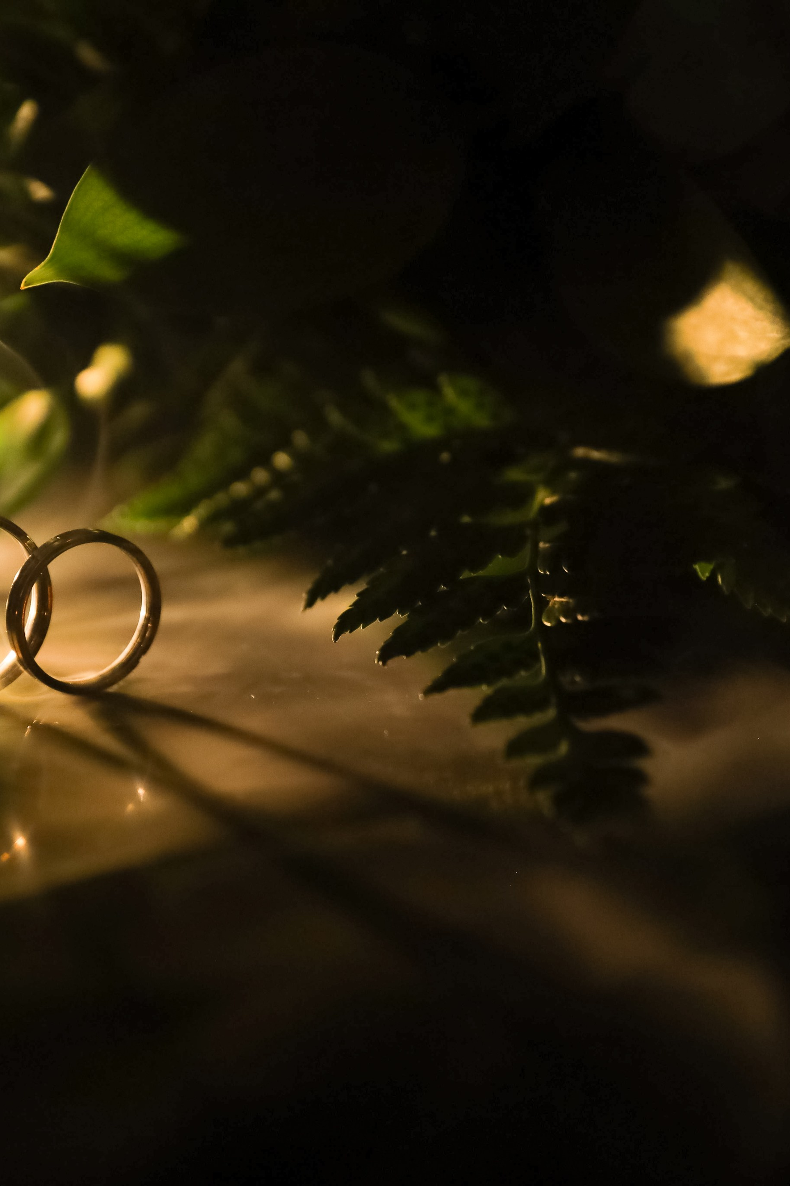 Истории. Свадебный фотограф Екатеринбург Алексей Ладыгин