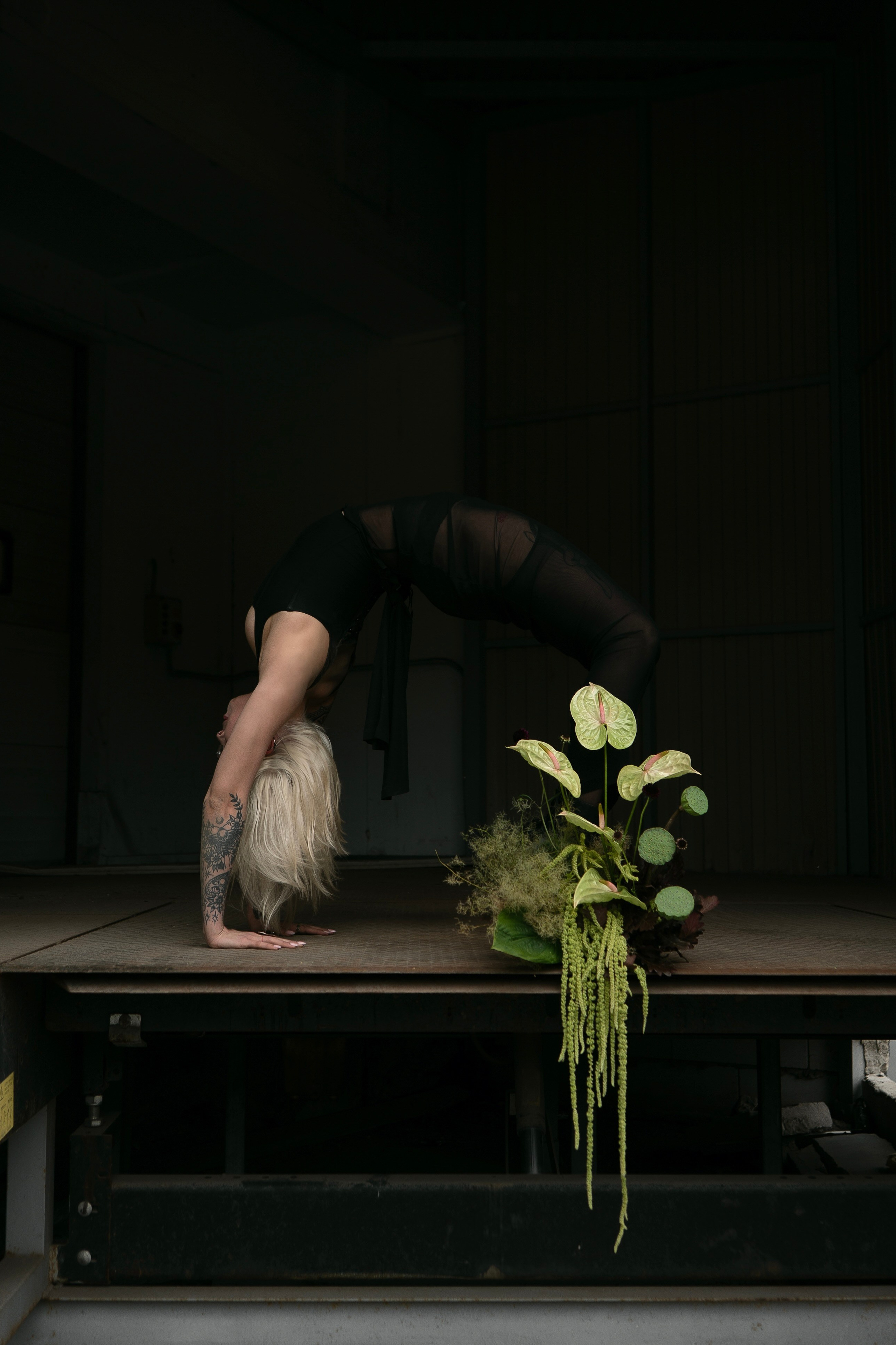 Forma Flora Design