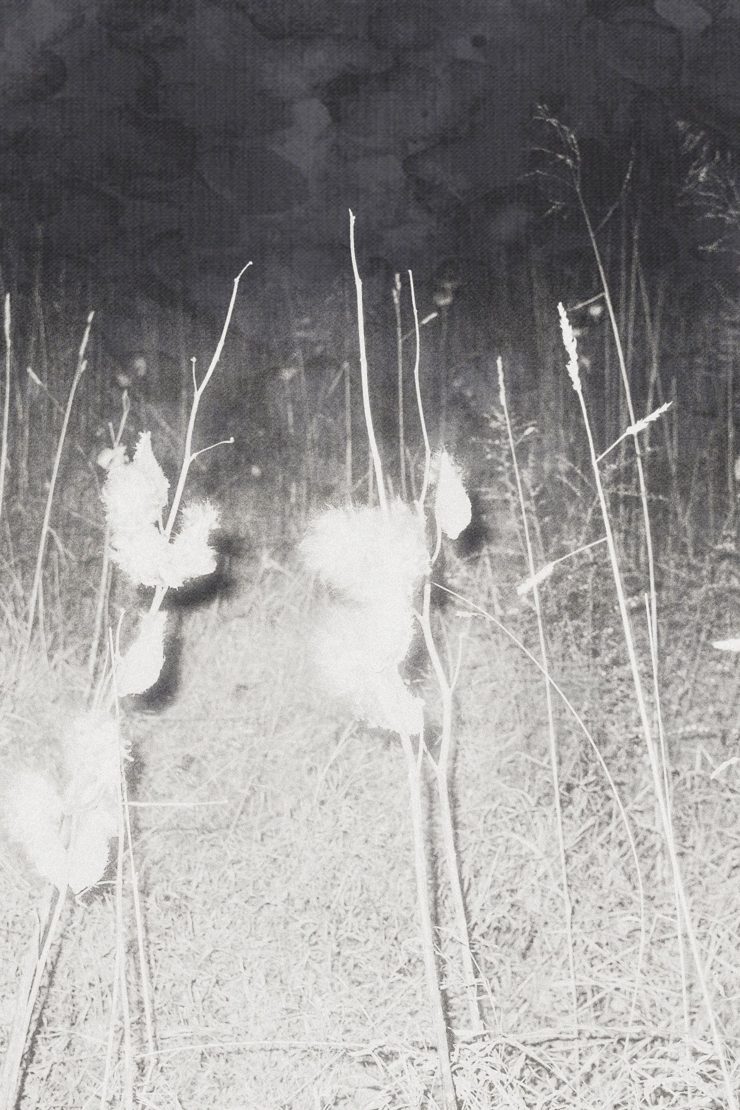 Блог. Private image