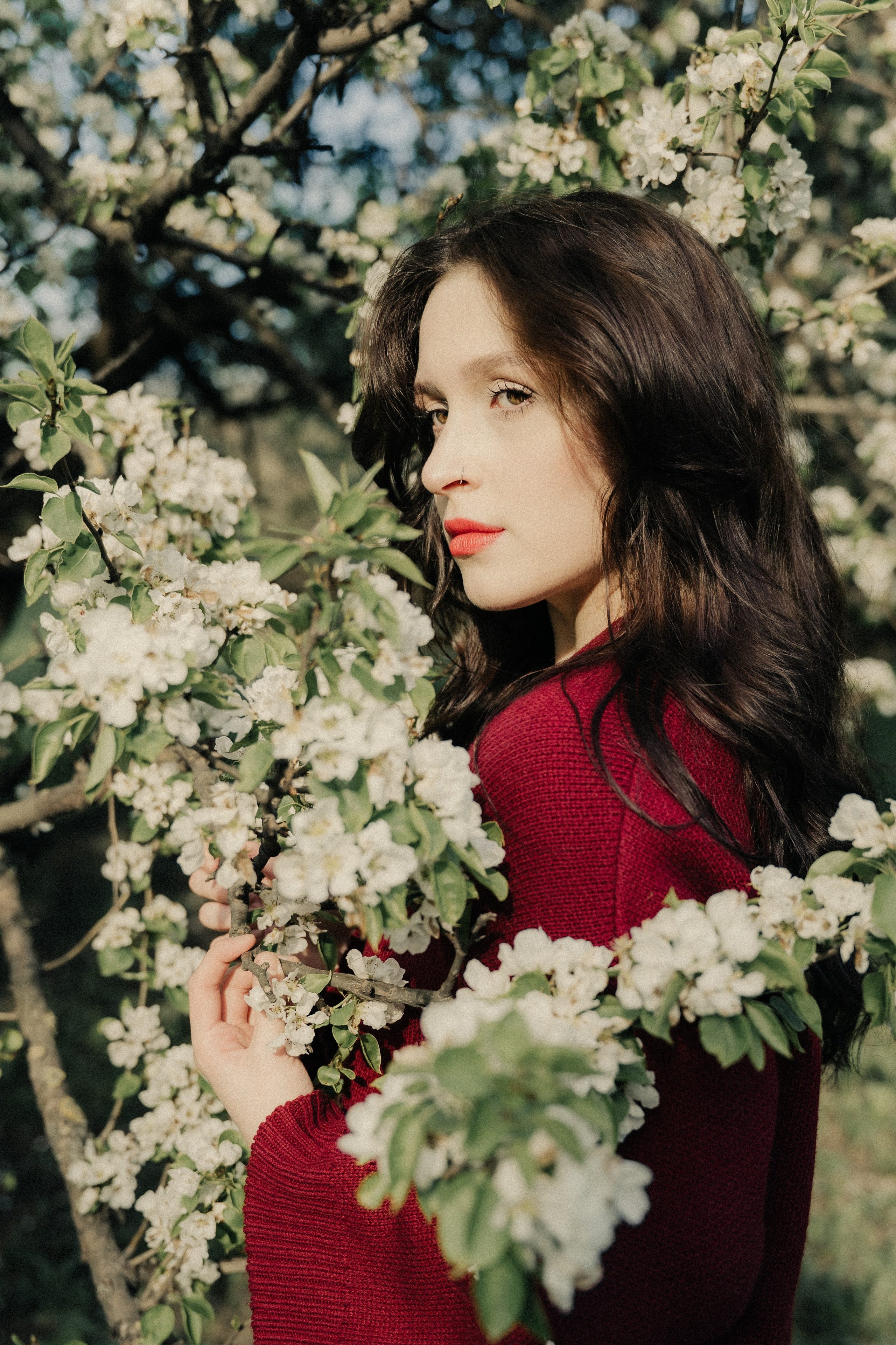nature