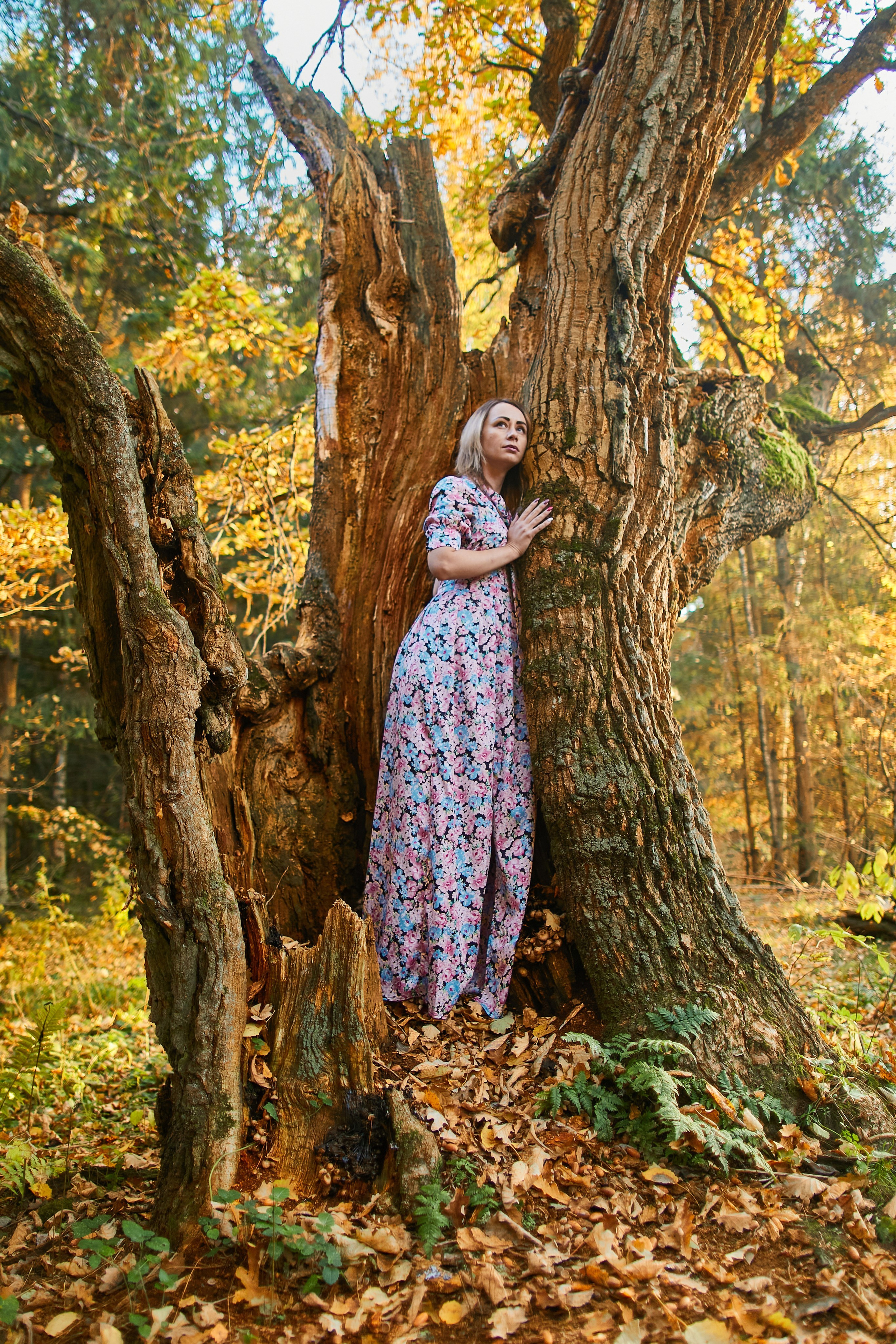 Кристина — (реликтовый дуб кранкино)