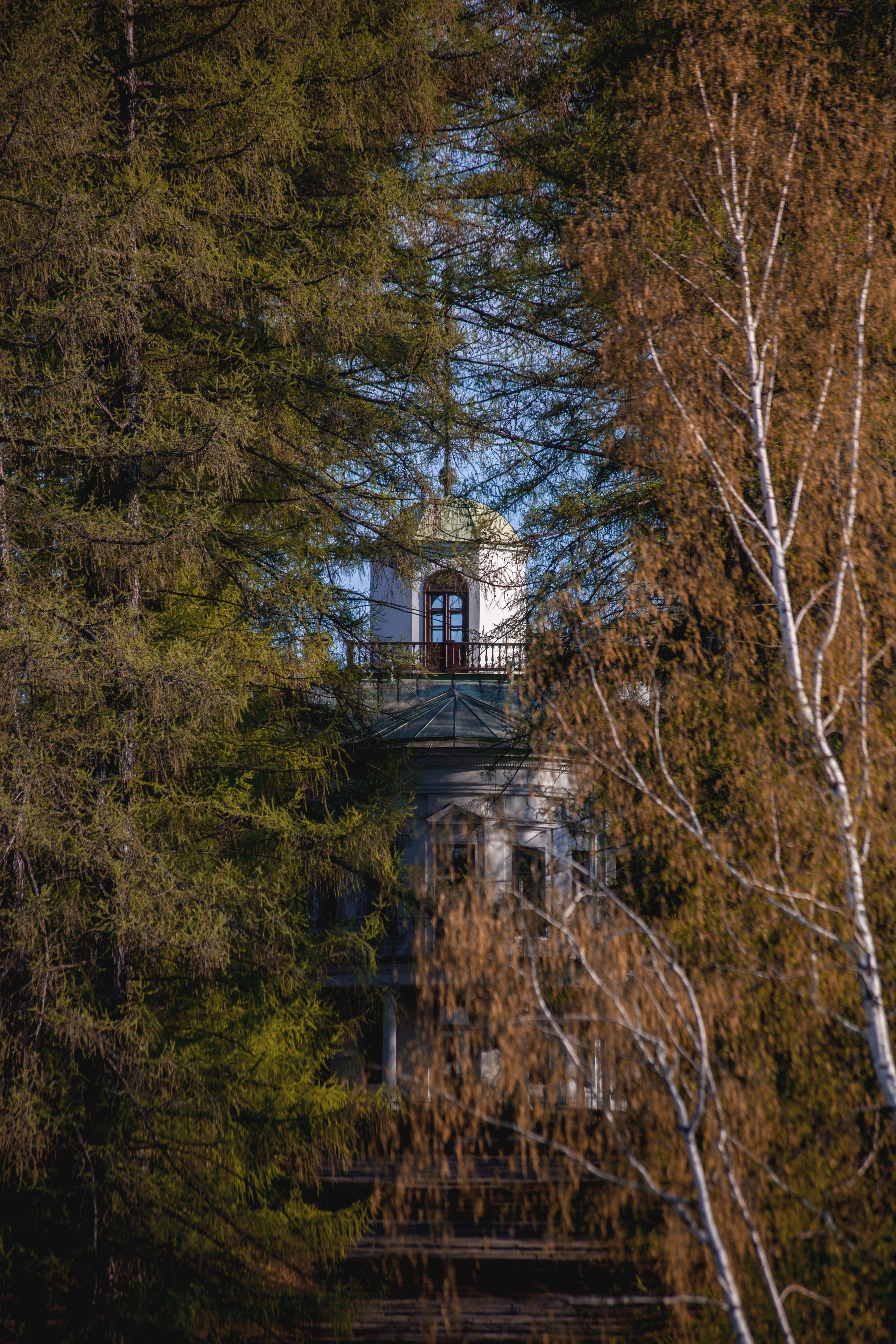 Фотограф Михаил Коган — Москва 89267284460