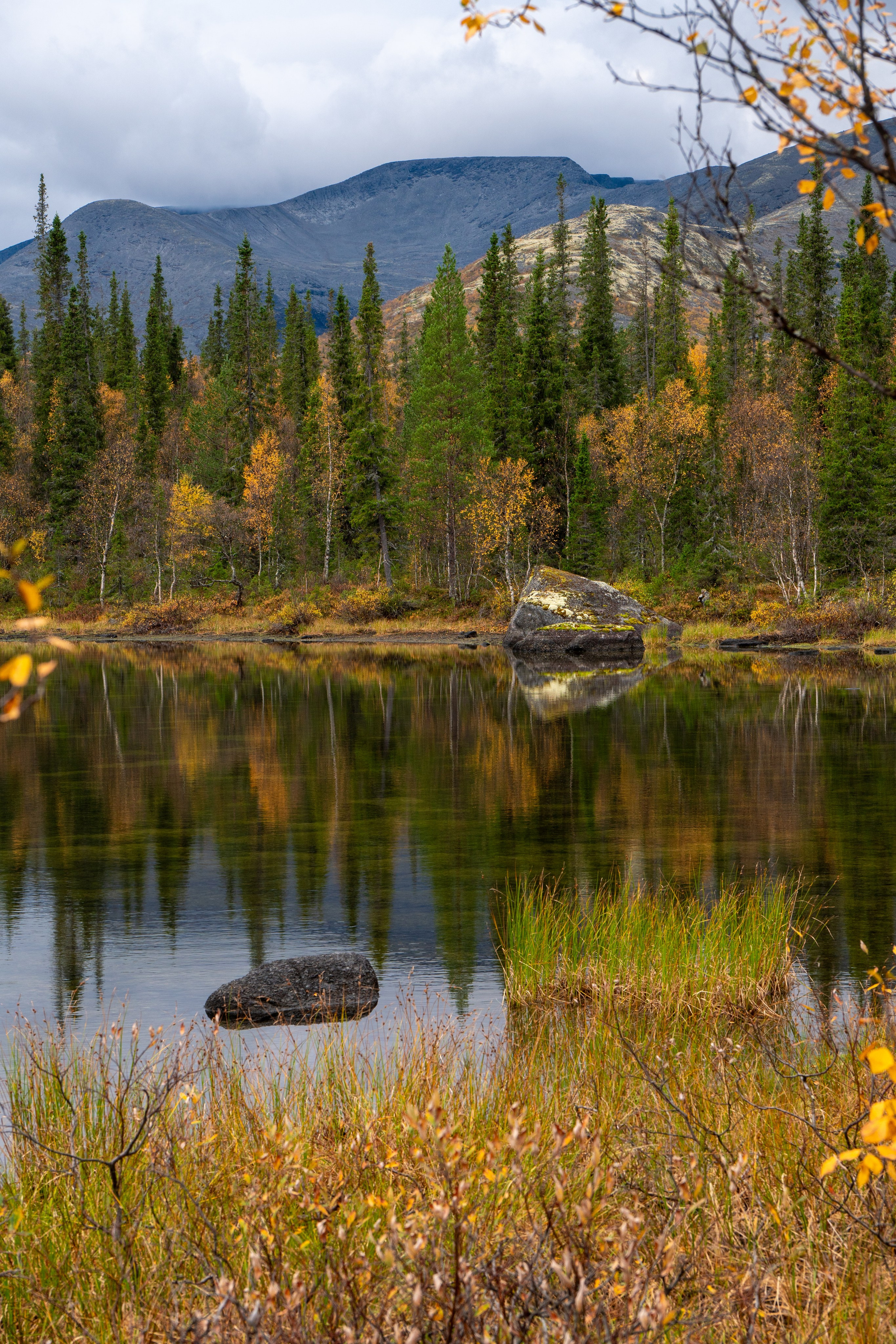 Золотая осень в Хибинах