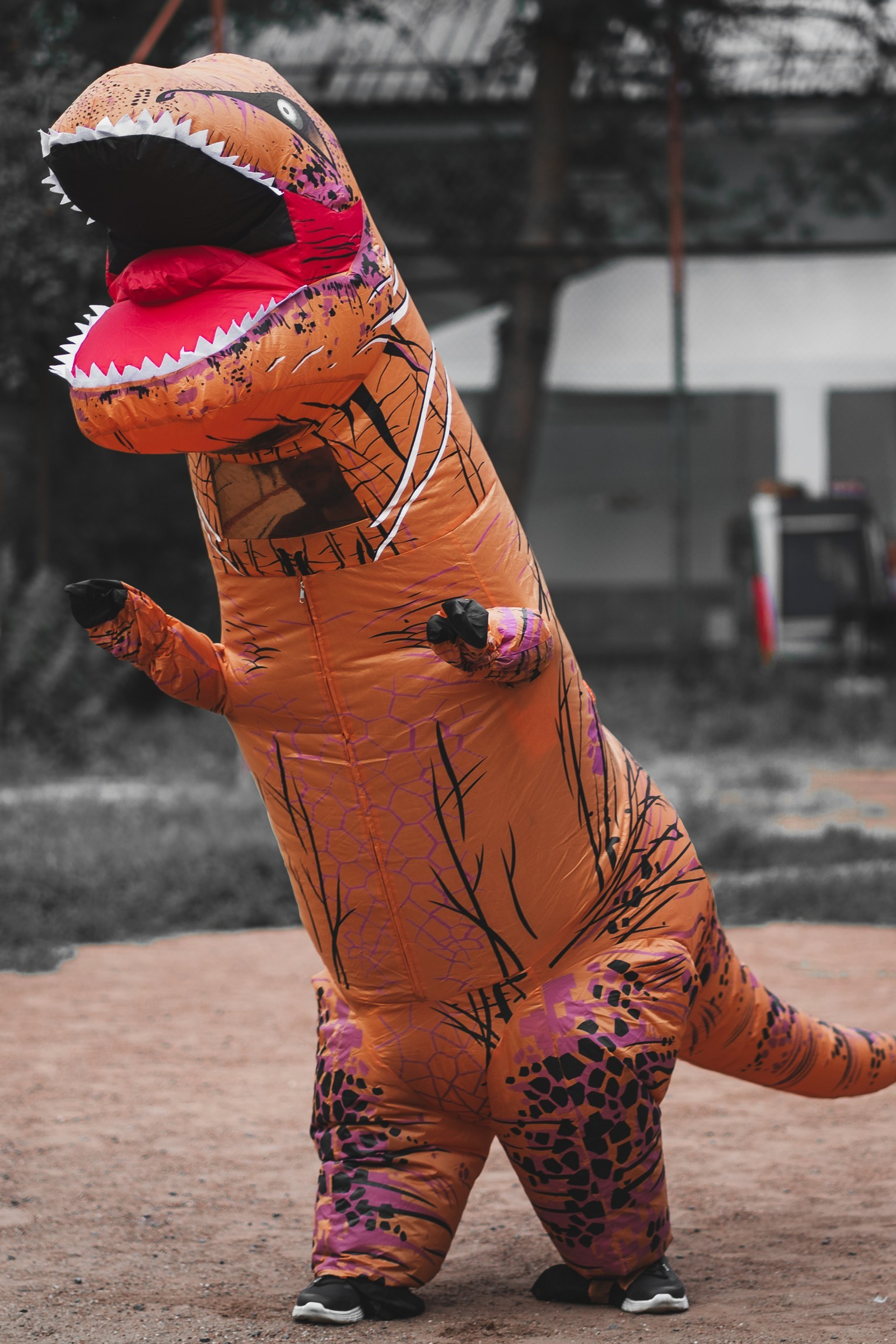 Свадьба Анастасия и Тимур