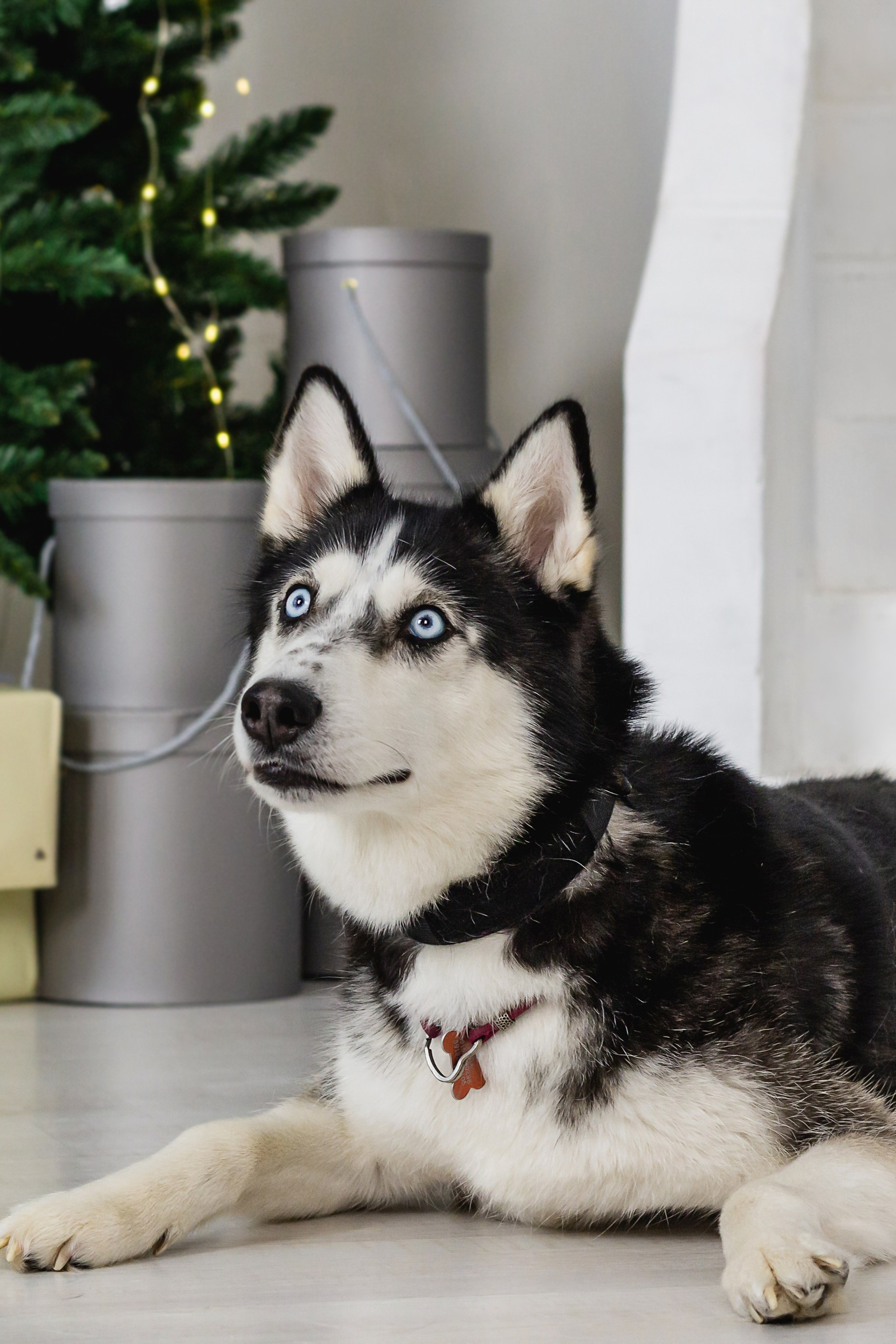 Отзывы. Фотограф в Мариуполе Елизавета Михайленко