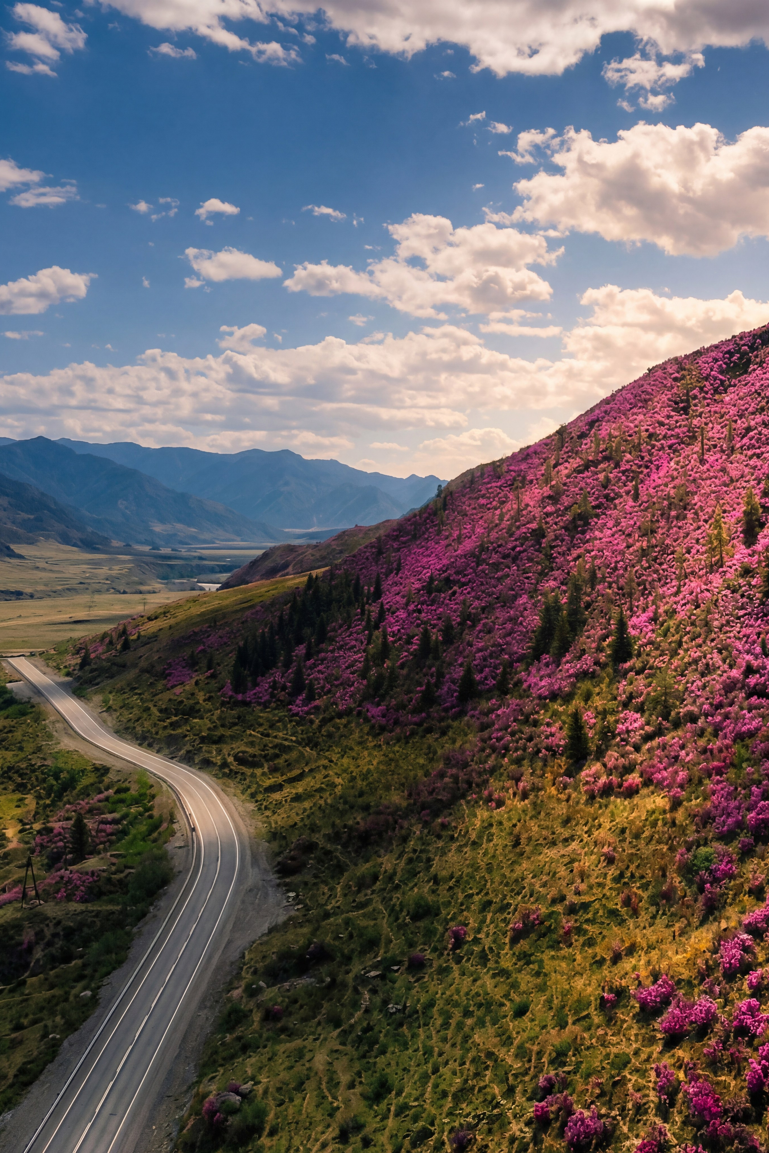 Блог фотографа на Алтае: красивые фото Алтая, отдых и экскурсии по Алтаю, фотосессии и жизнь в деревне мастеров Аскат. Фотограф. Алтай