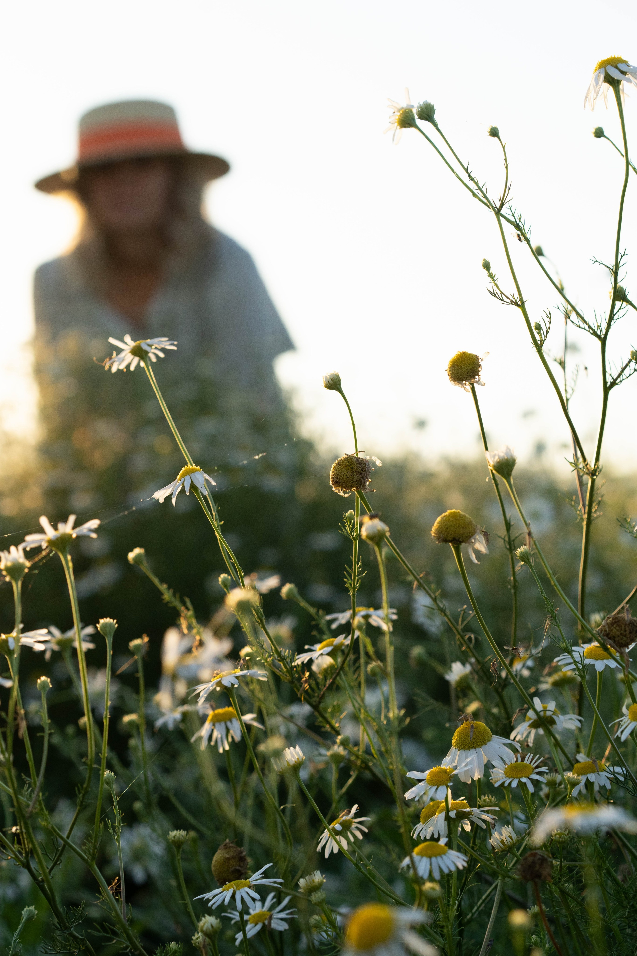Светлана. Фотограф Екатерина Куренкова