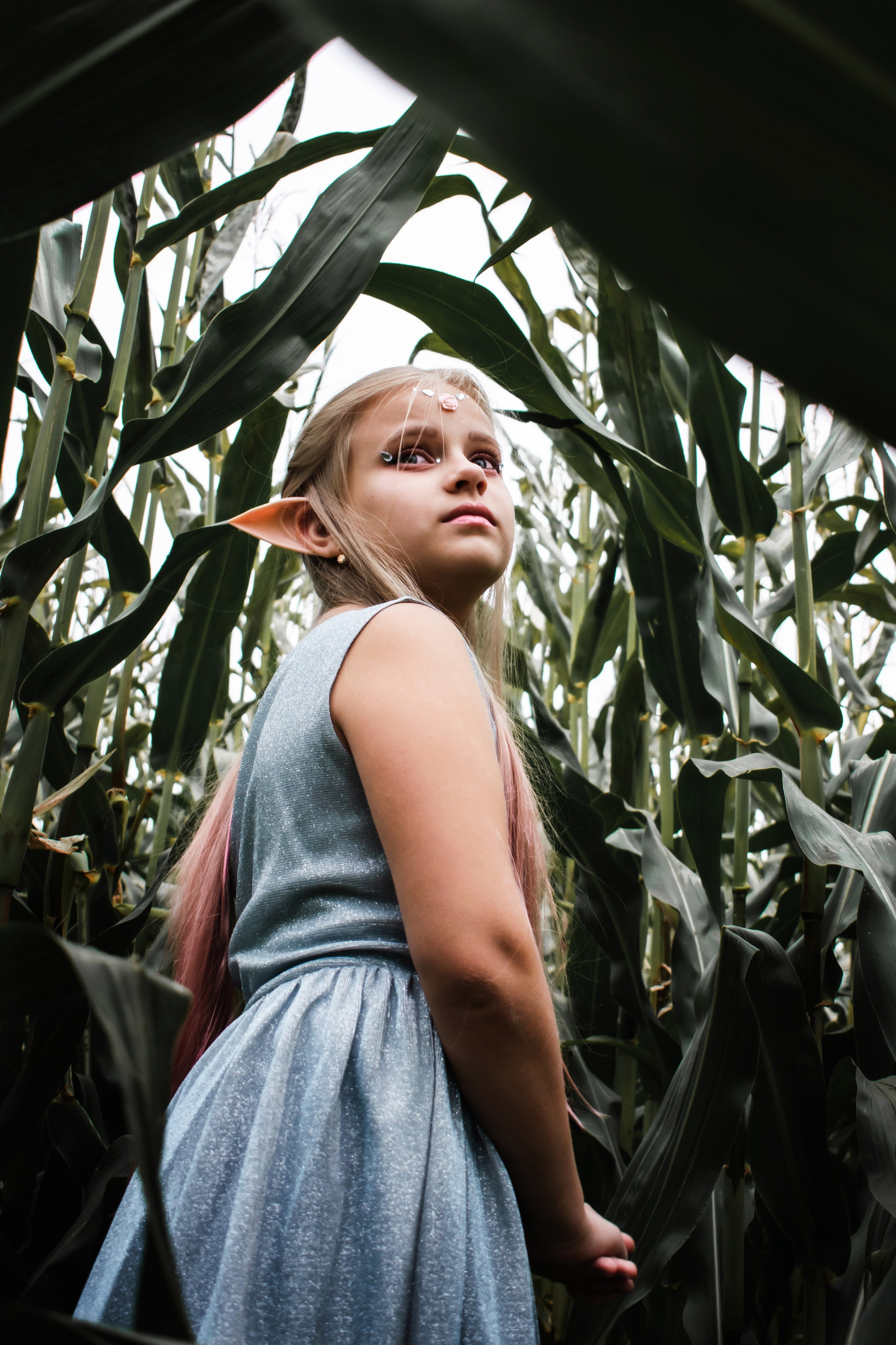 Кукурузный эльф