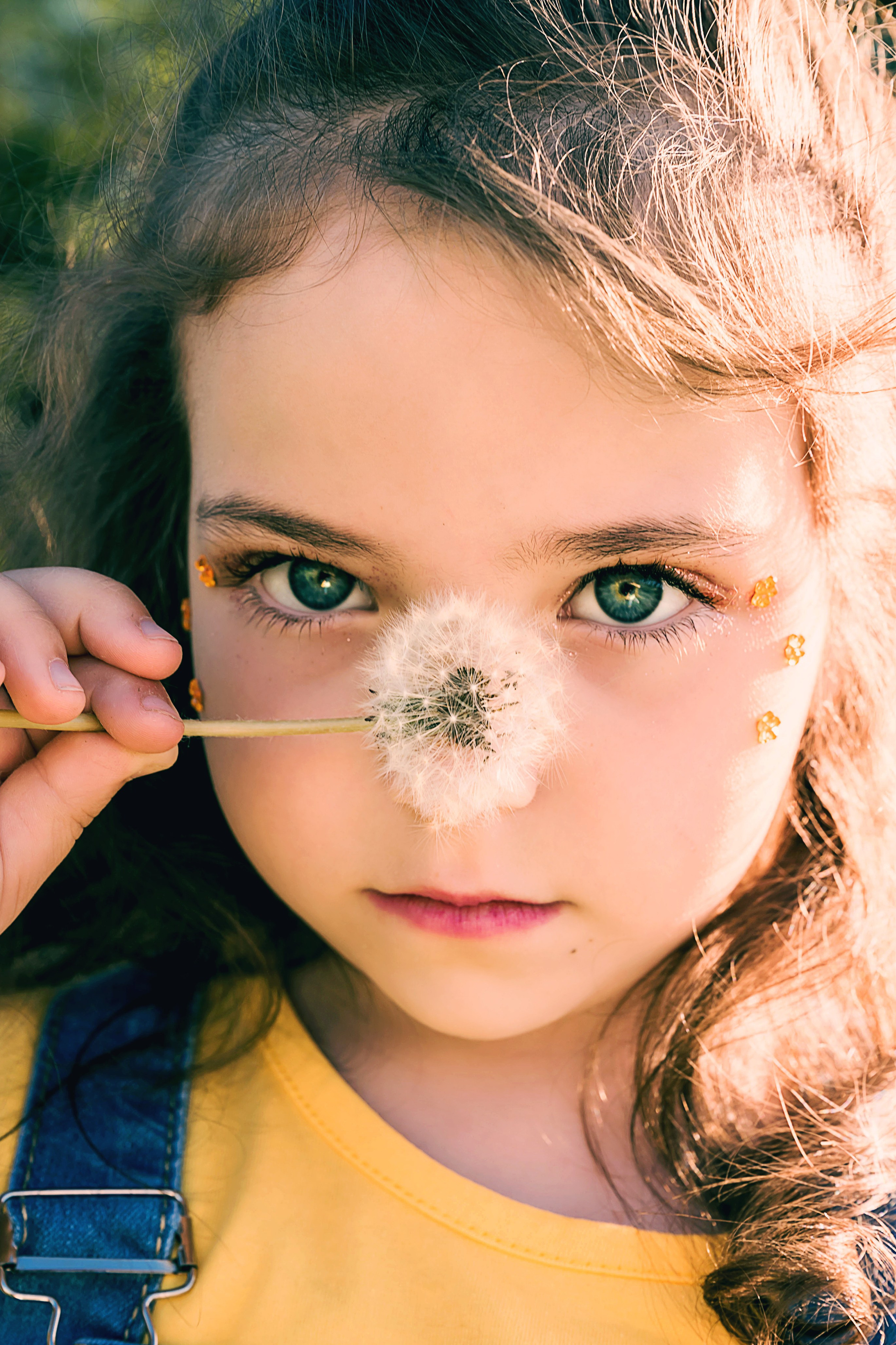 Одуванчики