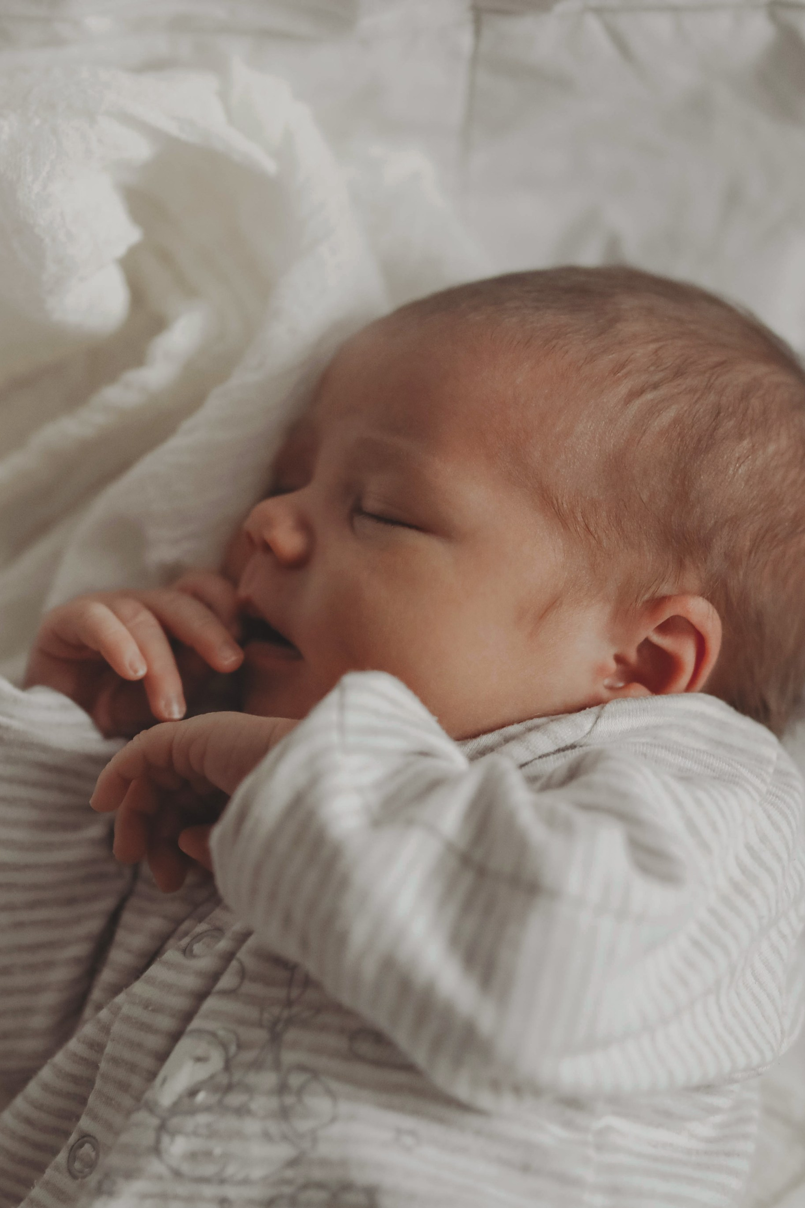 С новым 2026 годом!. Катя Сидор — фотограф в Москве