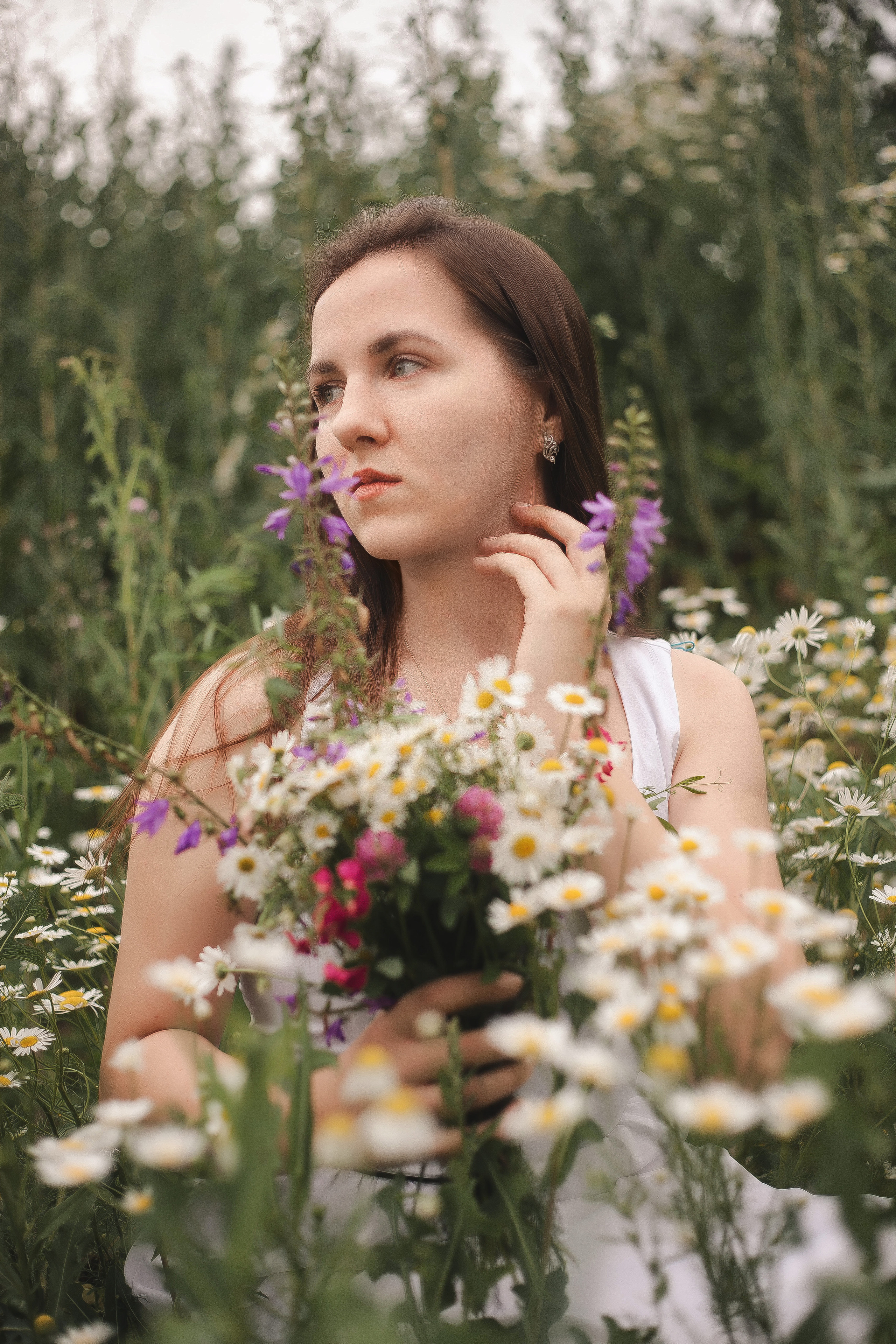 Майские ромашки