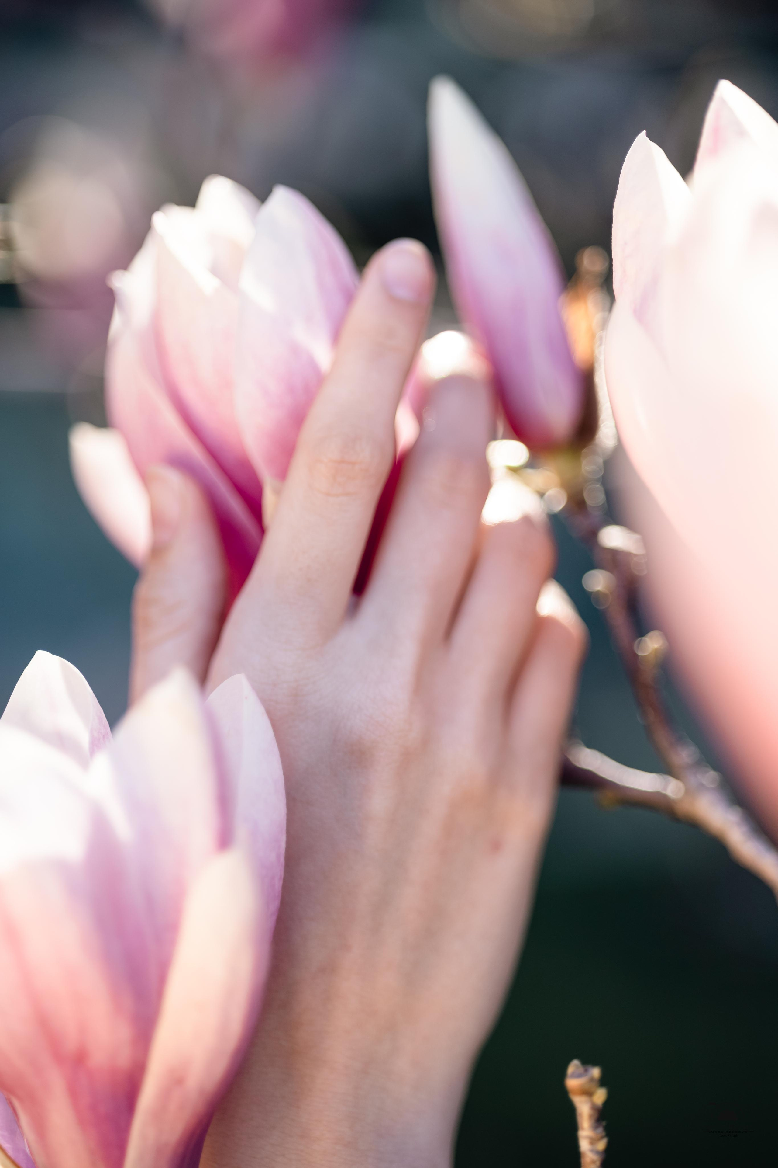 Ксения. Весна в Магнолиях.