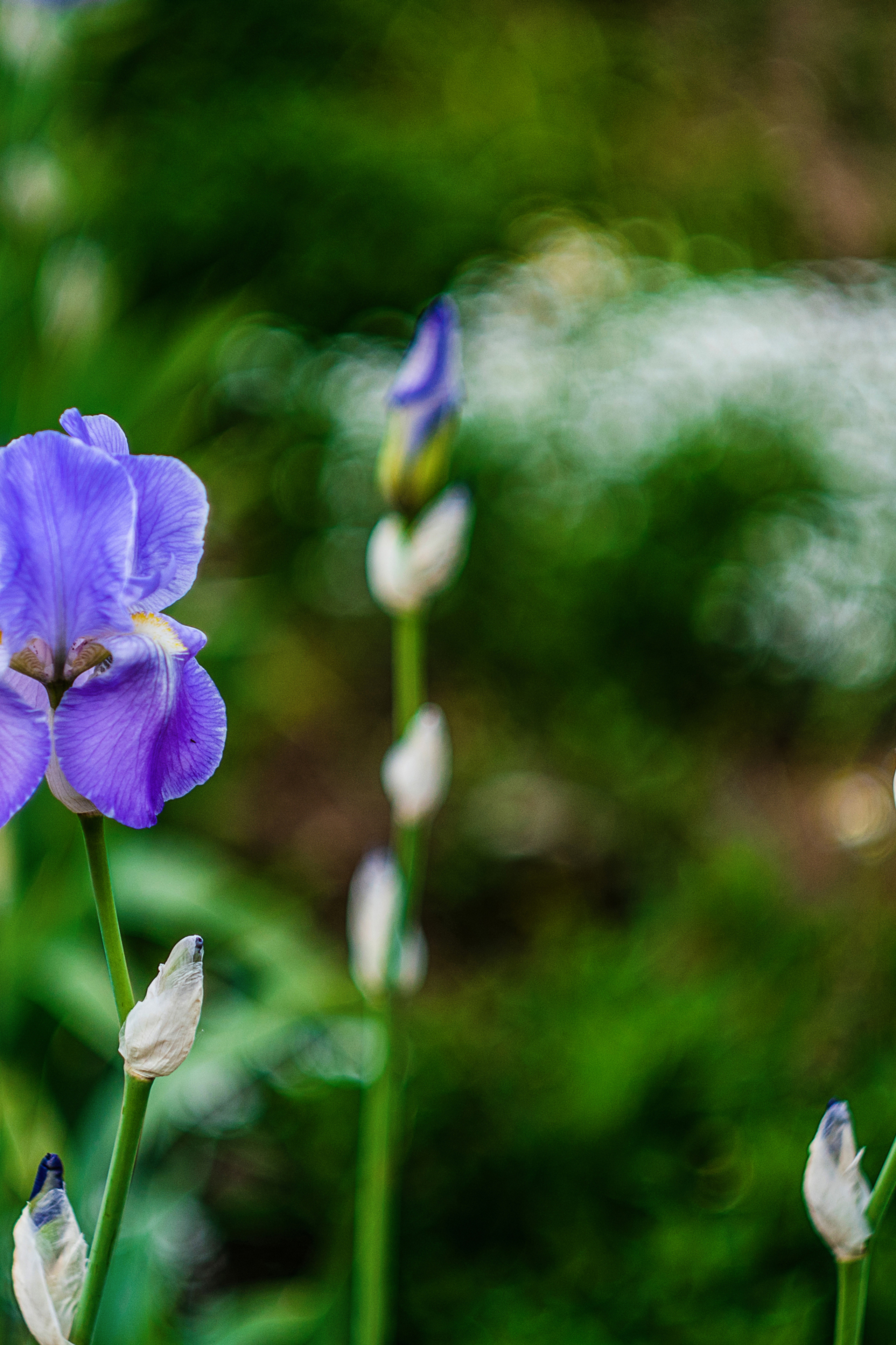 Информация о фотосессиях в Москве. Фотограф в Москве, Оксана Ребристая