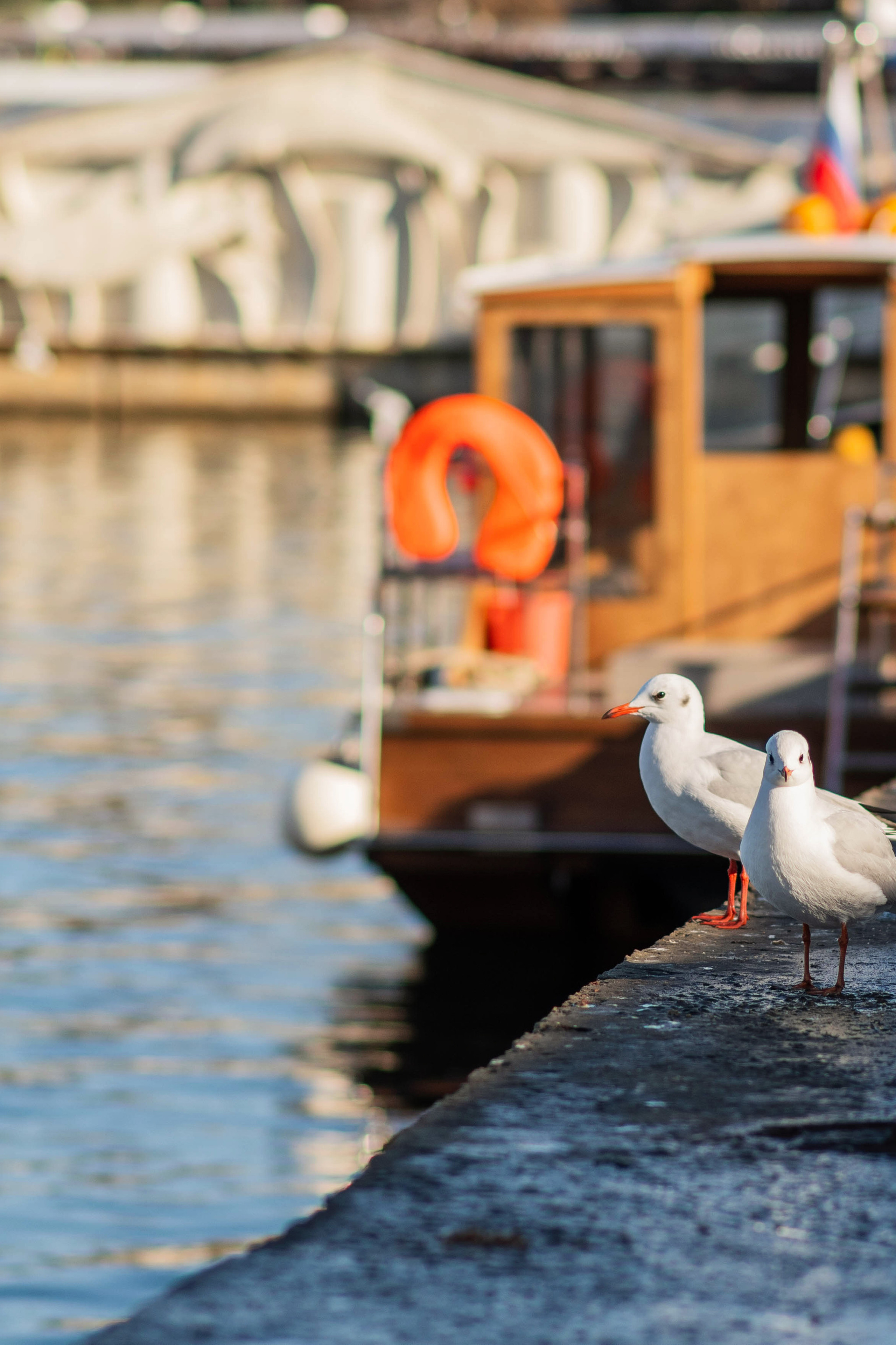 Информация о фотосессиях в Москве. Фотограф в Москве, Оксана Ребристая