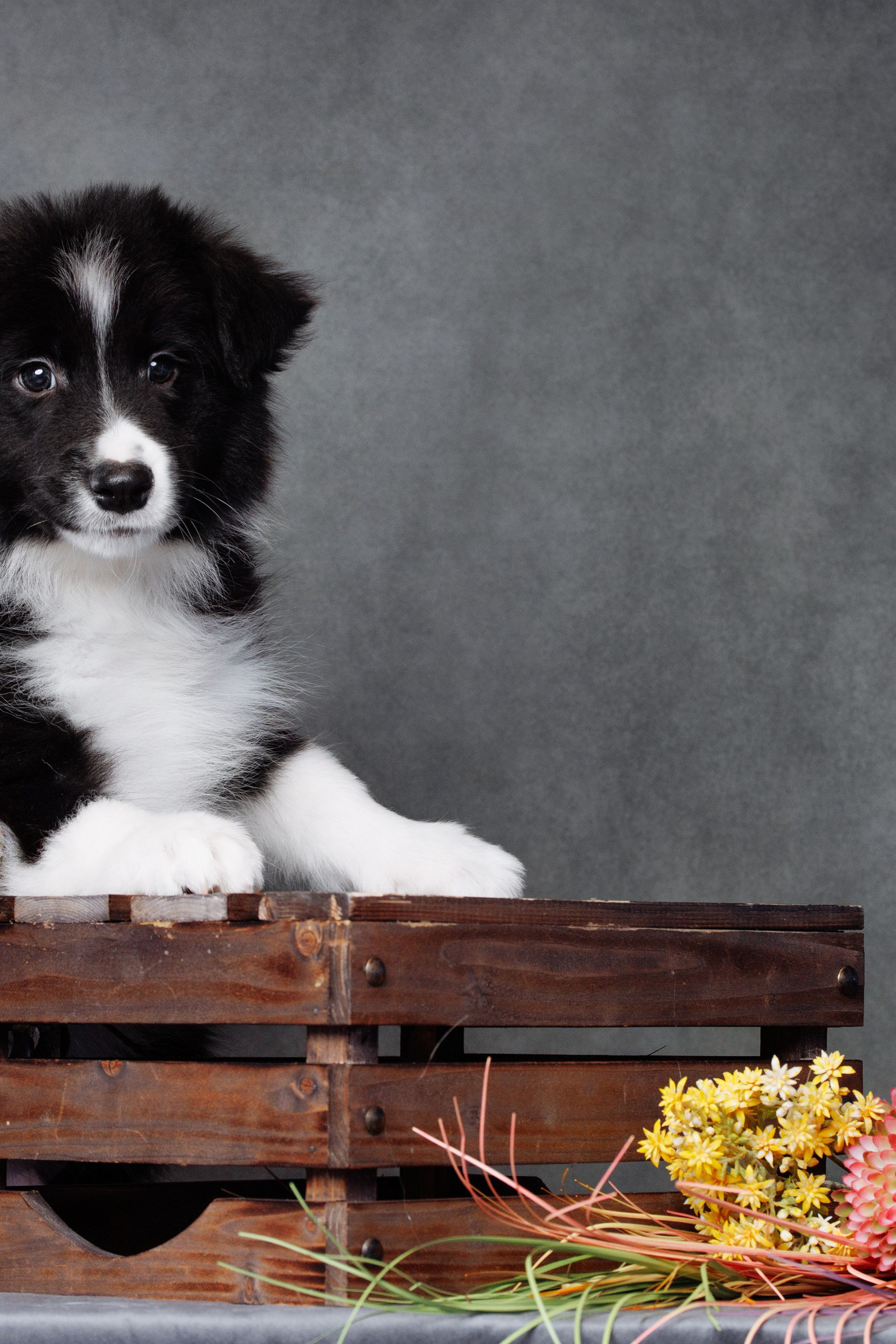 Жизнь питомника. О нас