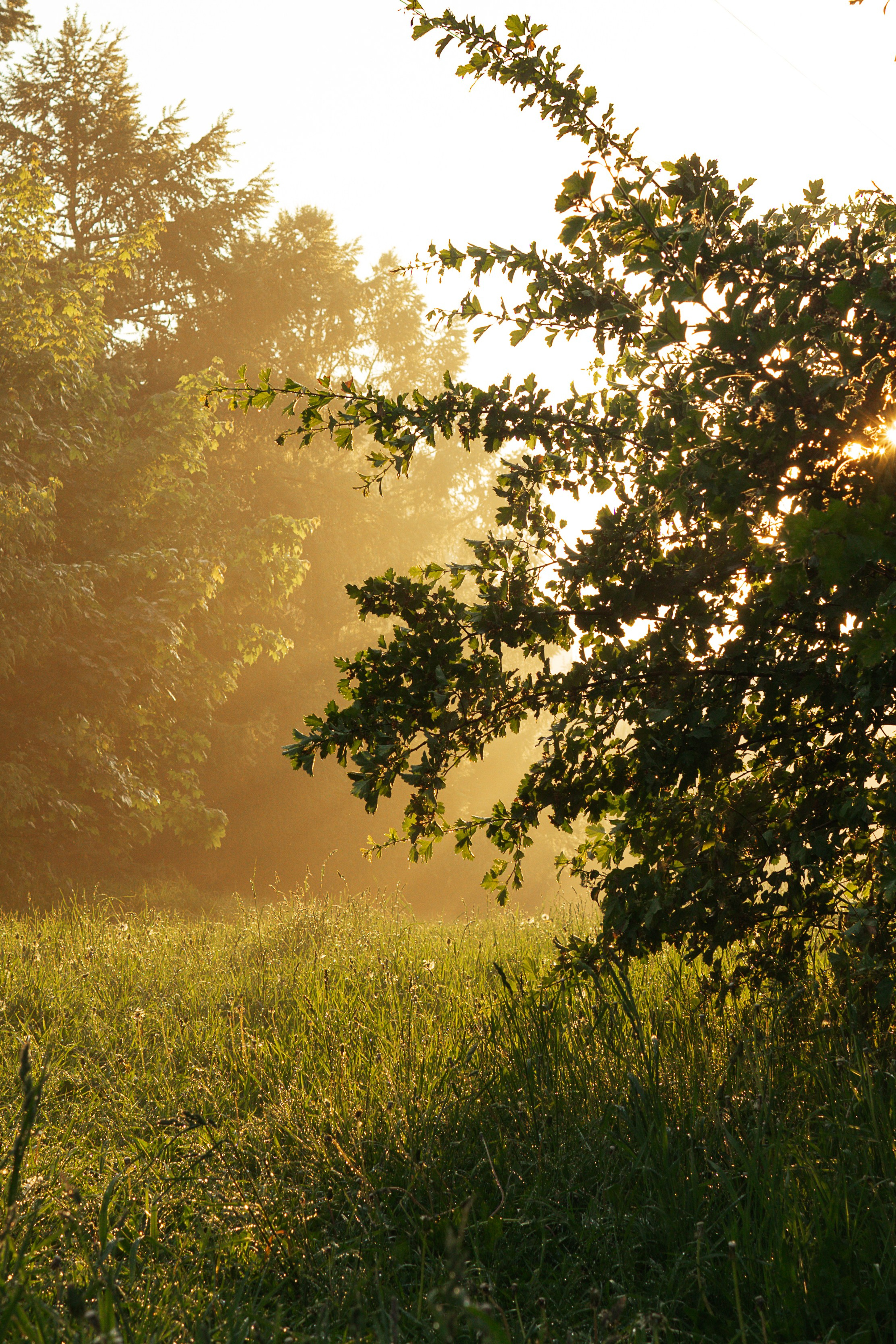 Фотоистории. Фотограф в Москве Юлия Першина