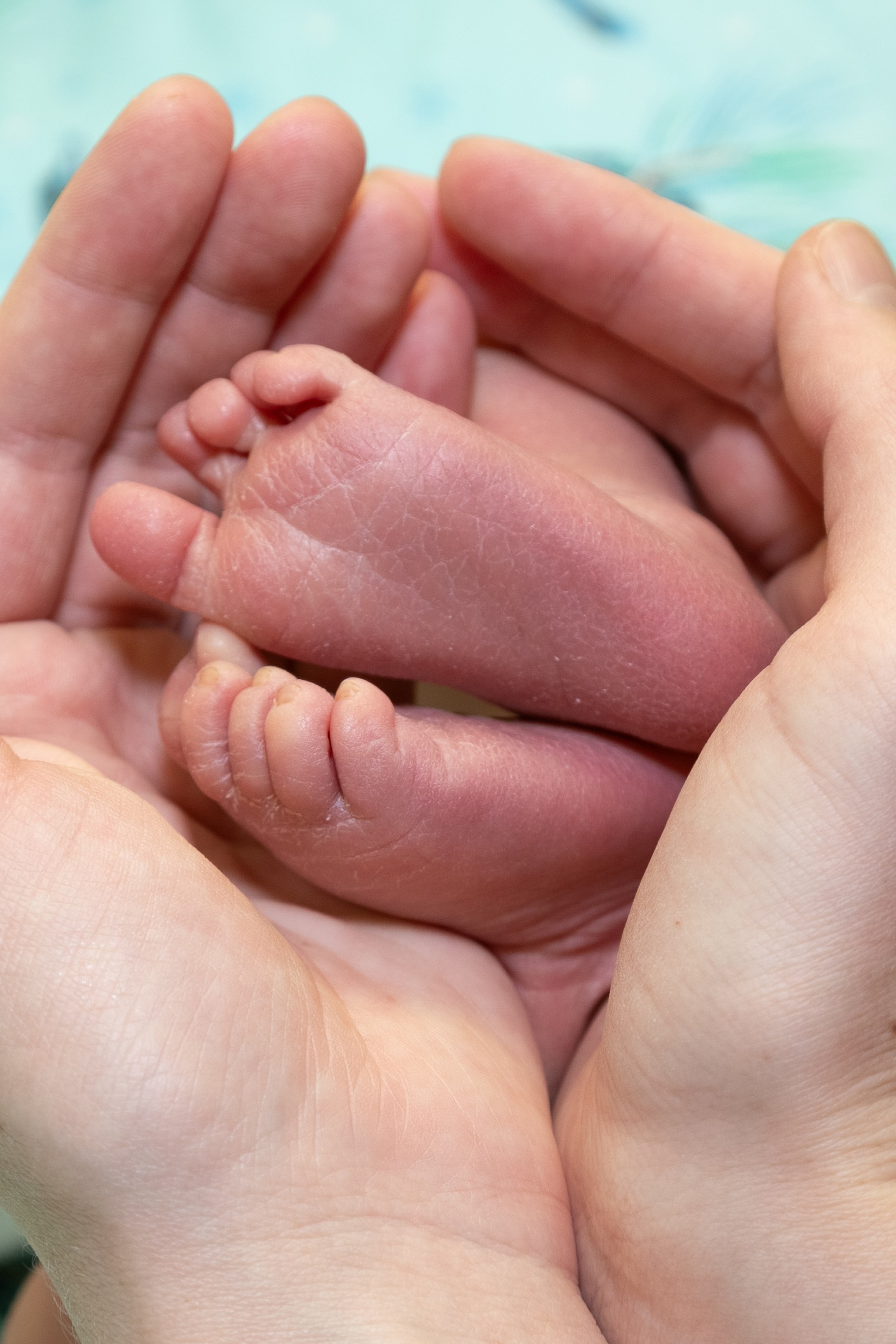 Отзывы. Семейный и детский фотограф в Ногинске