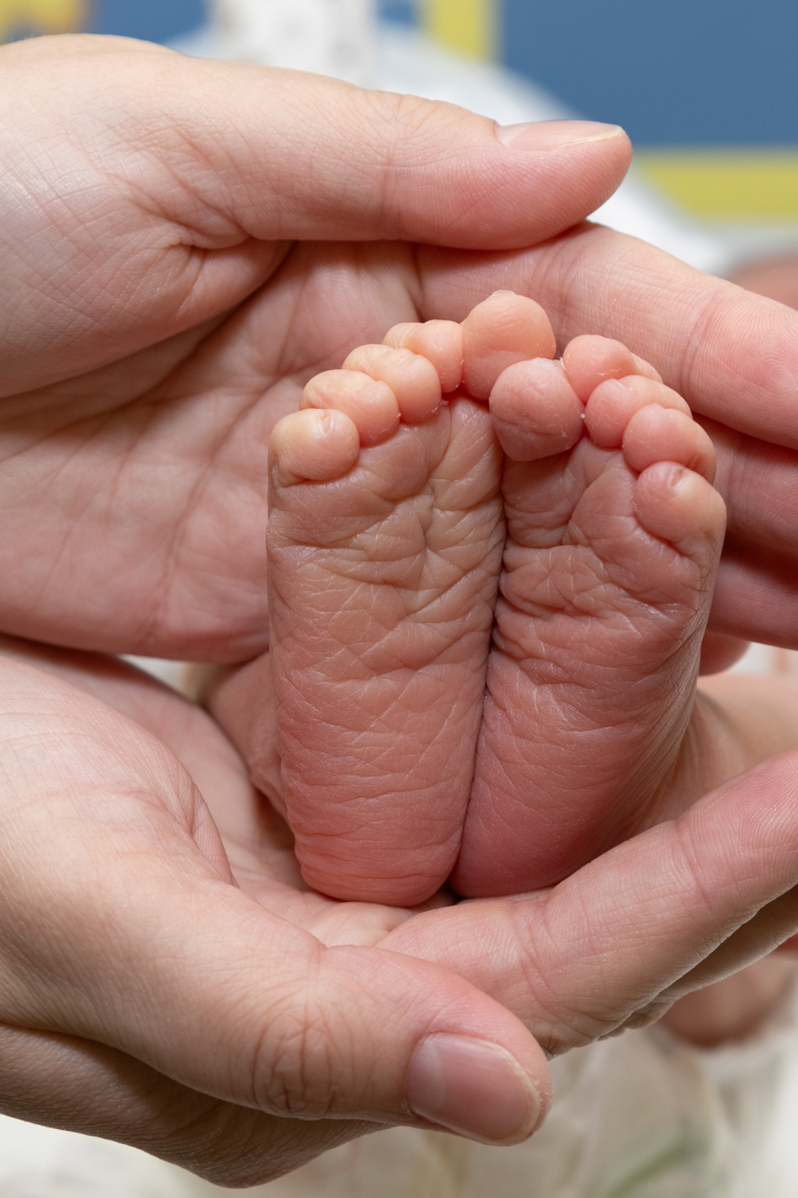 Отзывы. Семейный и детский фотограф в Ногинске