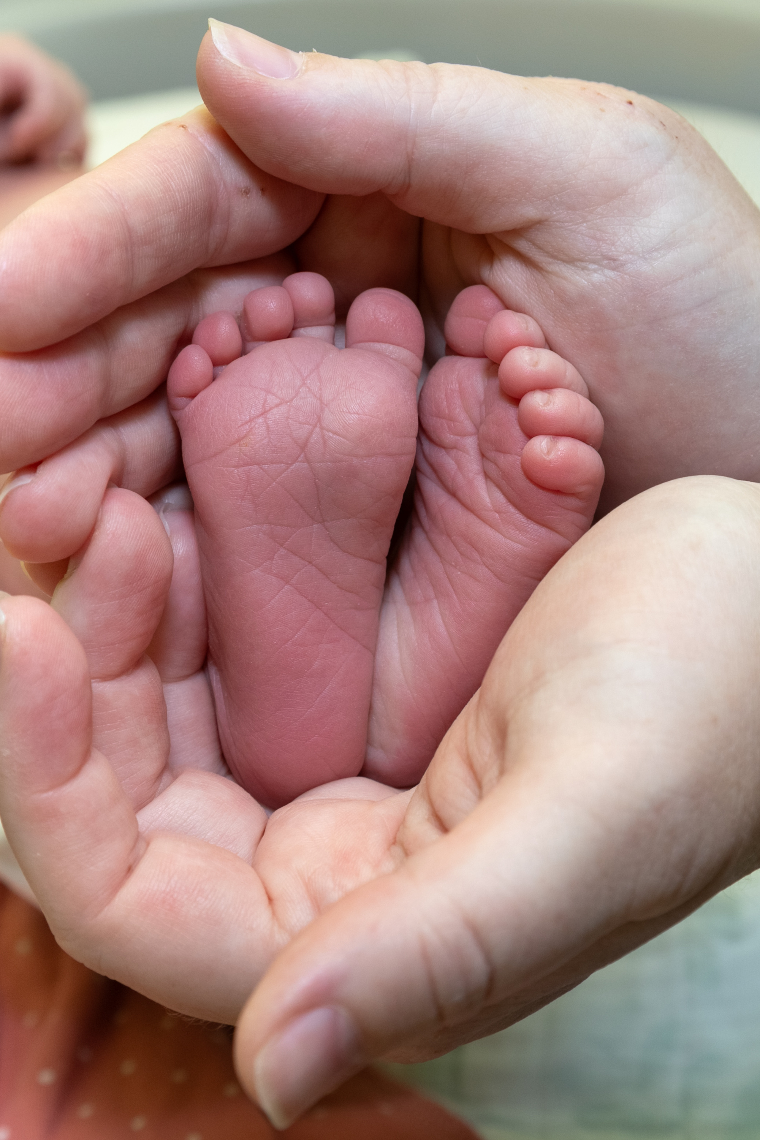 Отзывы. Семейный и детский фотограф в Ногинске