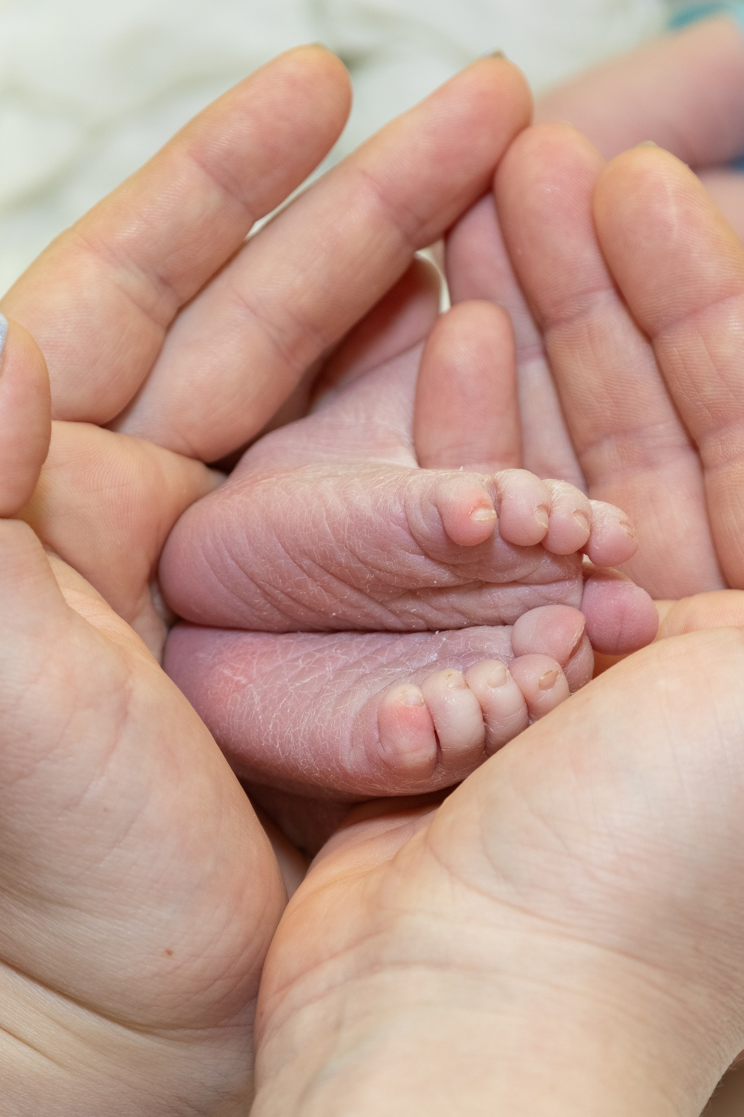 Отзывы. Семейный и детский фотограф в Ногинске