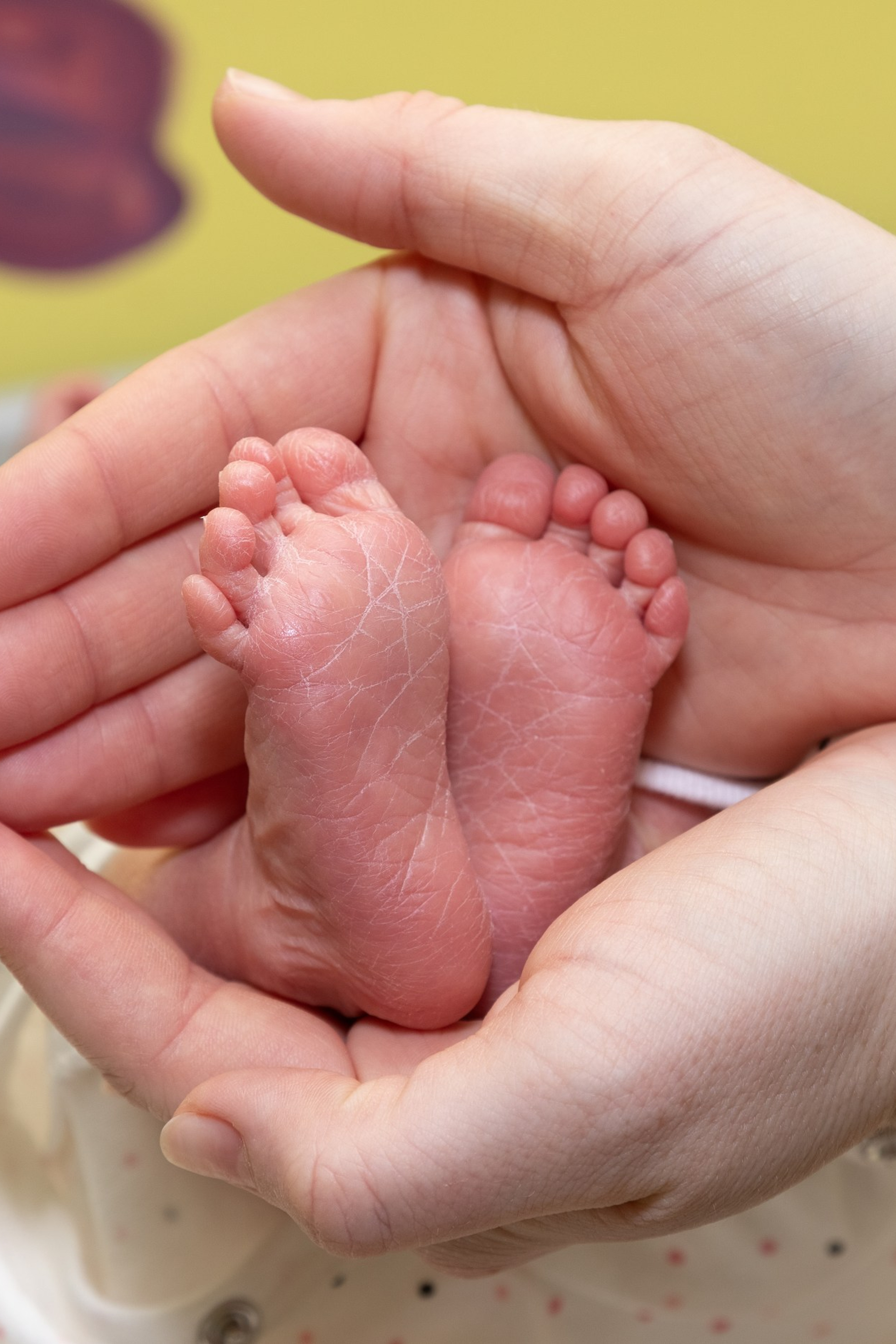 Отзывы. Семейный и детский фотограф в Ногинске