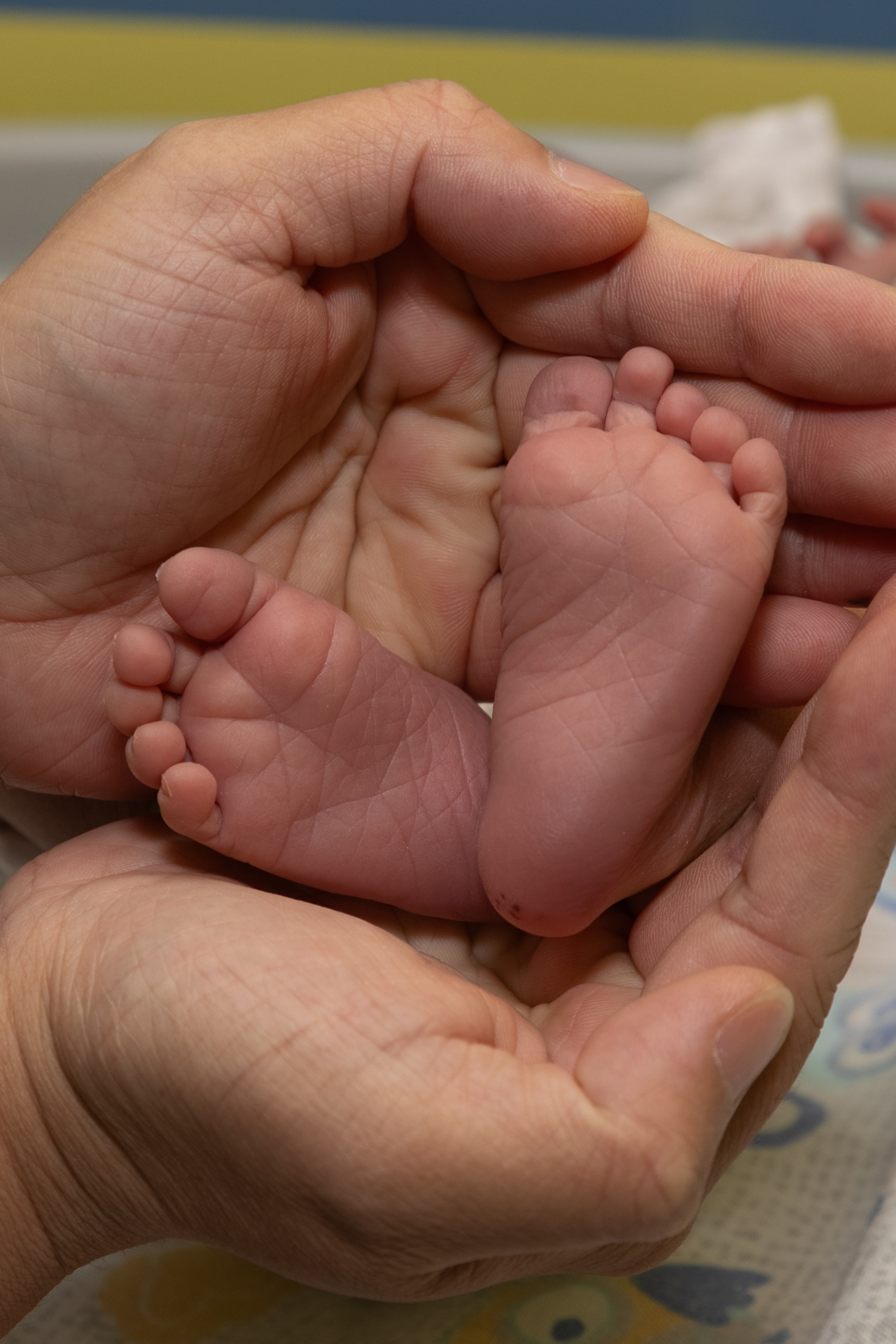 Отзывы. Семейный и детский фотограф в Ногинске