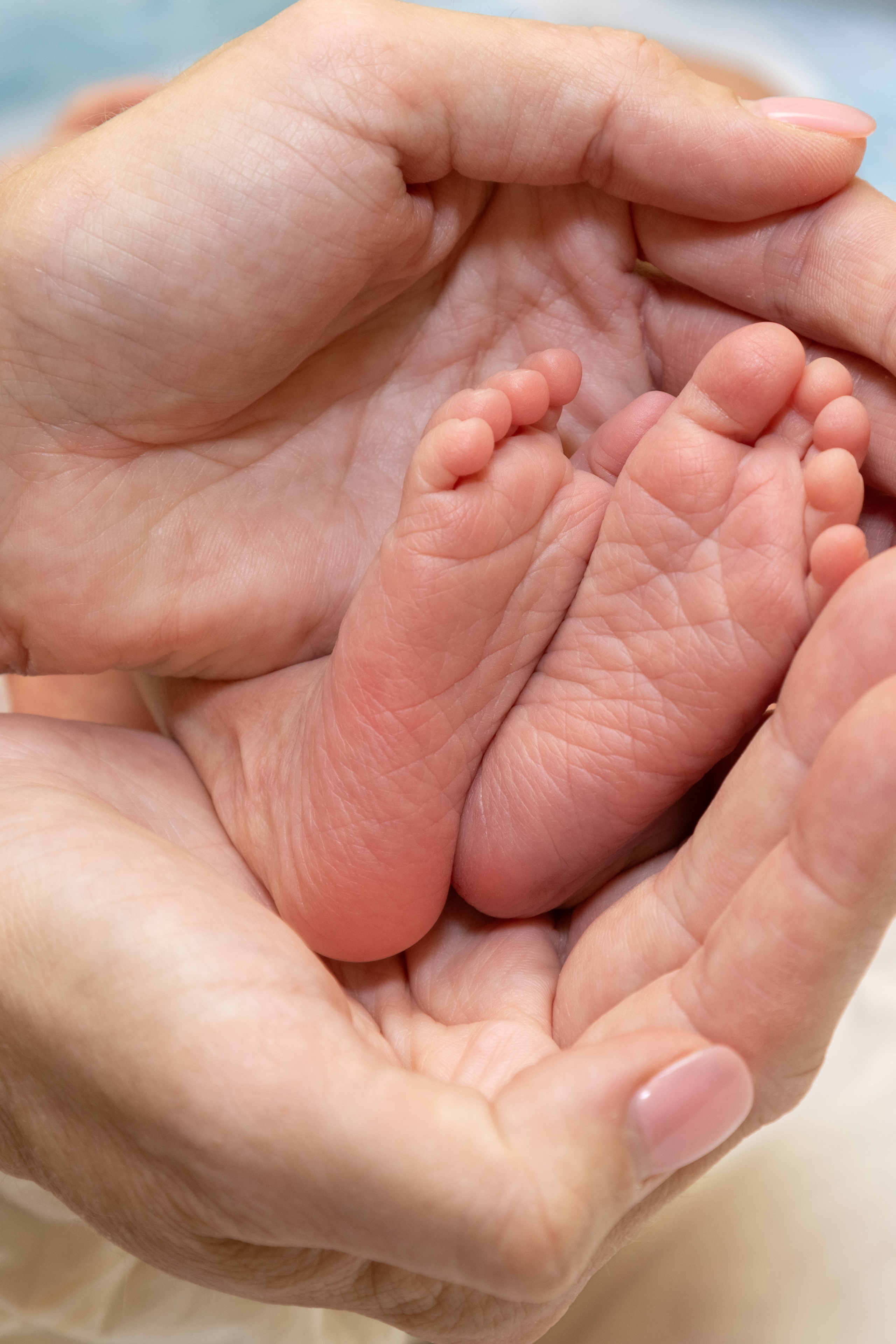 Отзывы. Семейный и детский фотограф в Ногинске