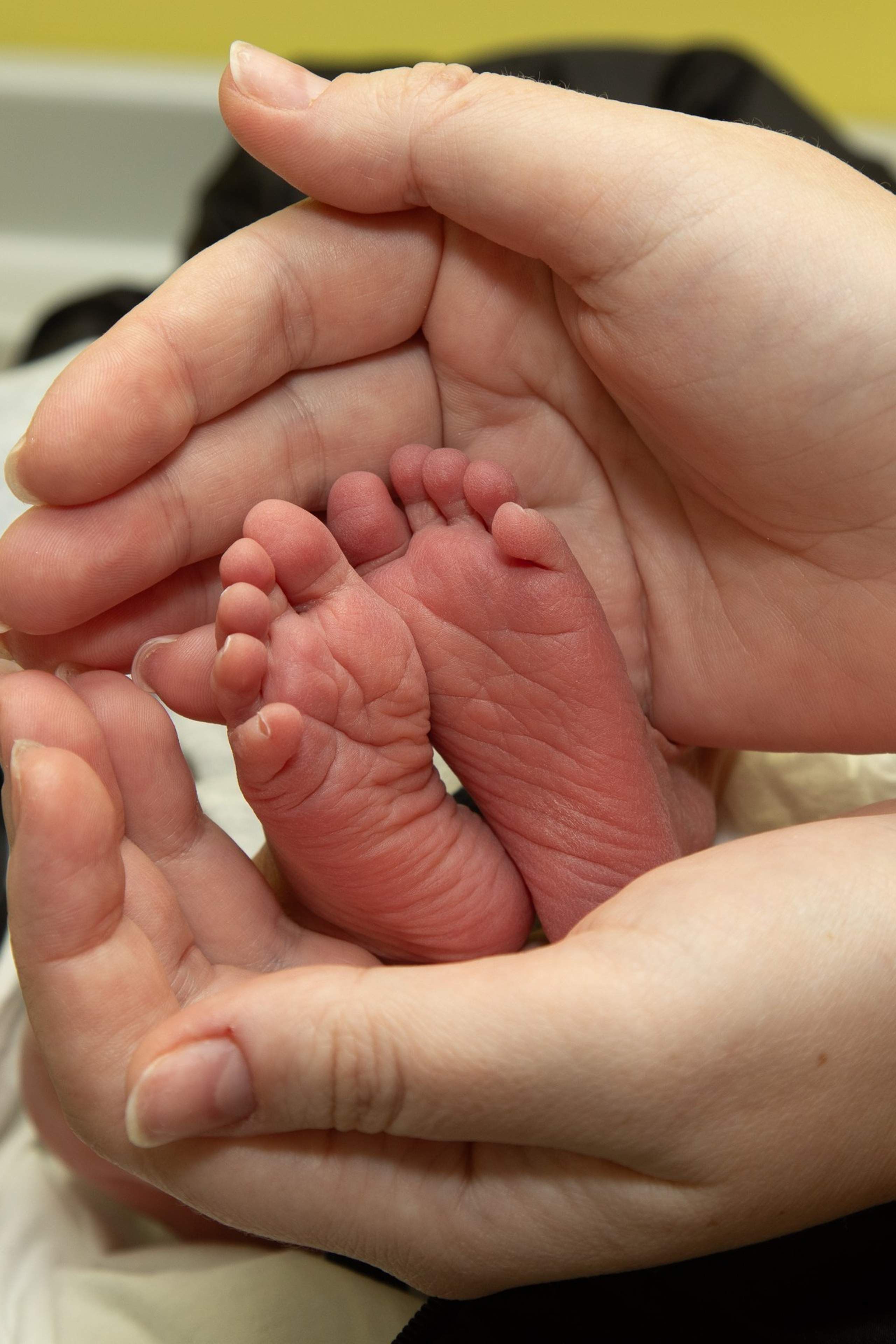 Отзывы. Семейный и детский фотограф в Ногинске