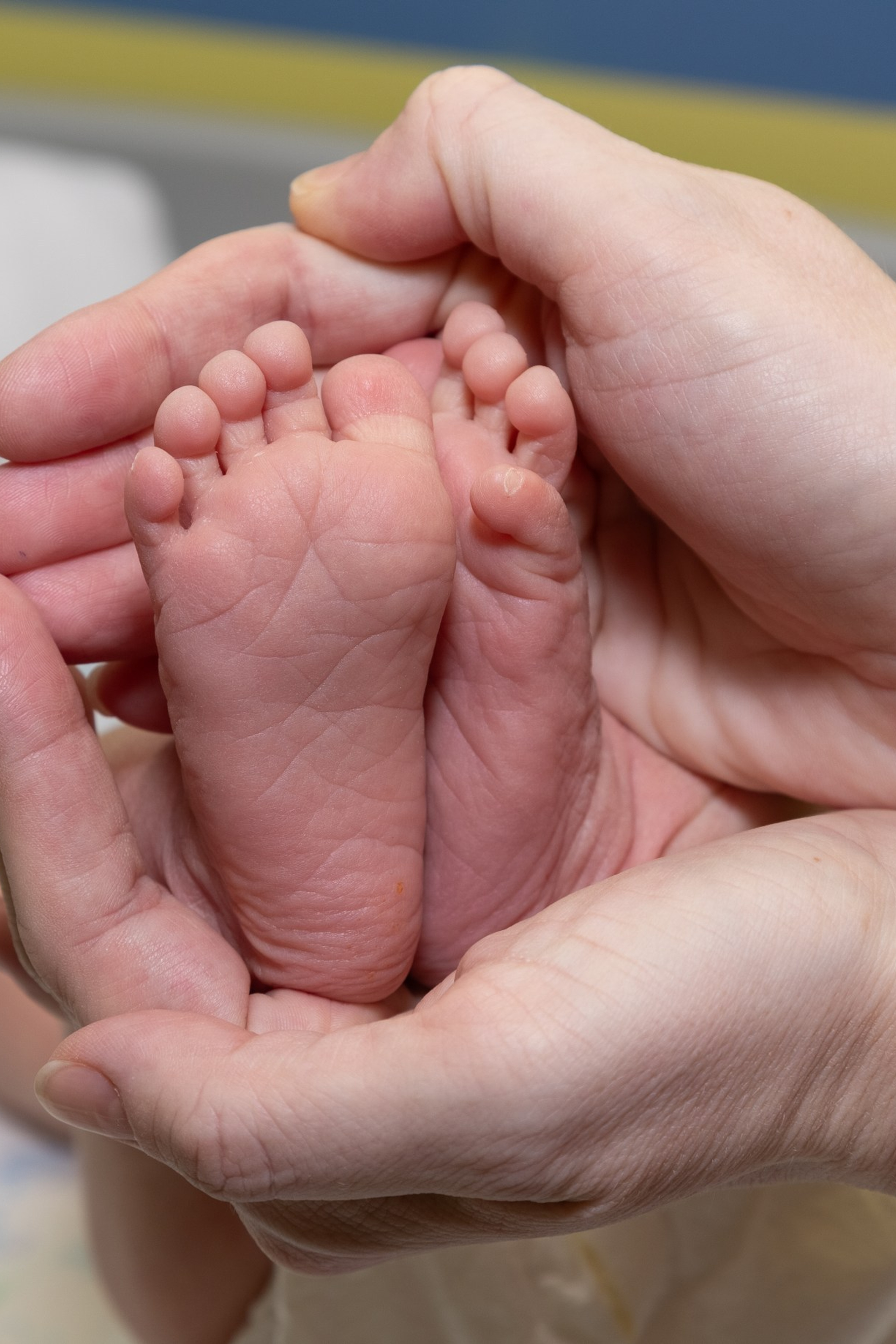 Отзывы. Семейный и детский фотограф в Ногинске