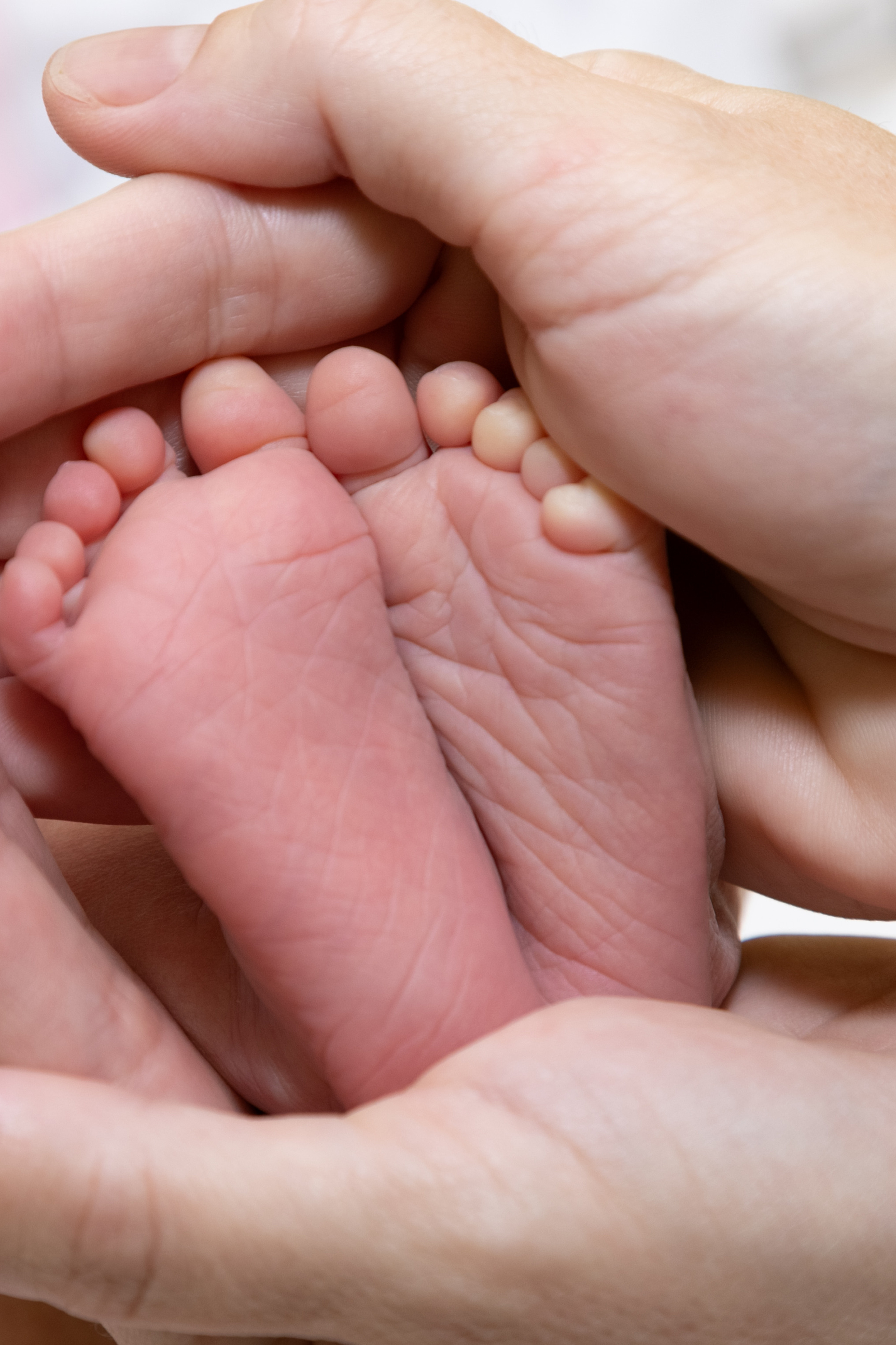 Отзывы. Семейный и детский фотограф в Ногинске