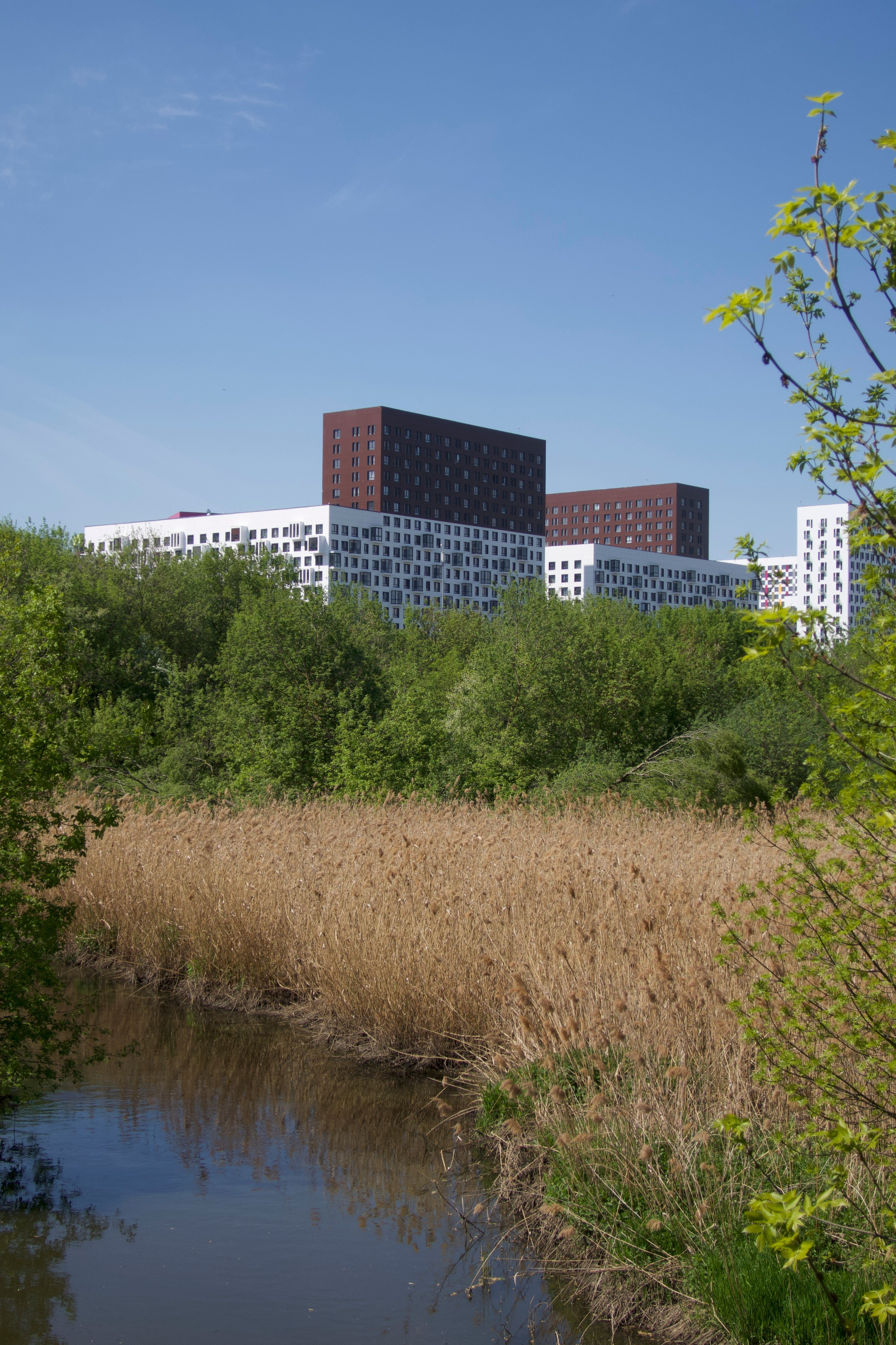 #28: Парк «Свибловские пруды»