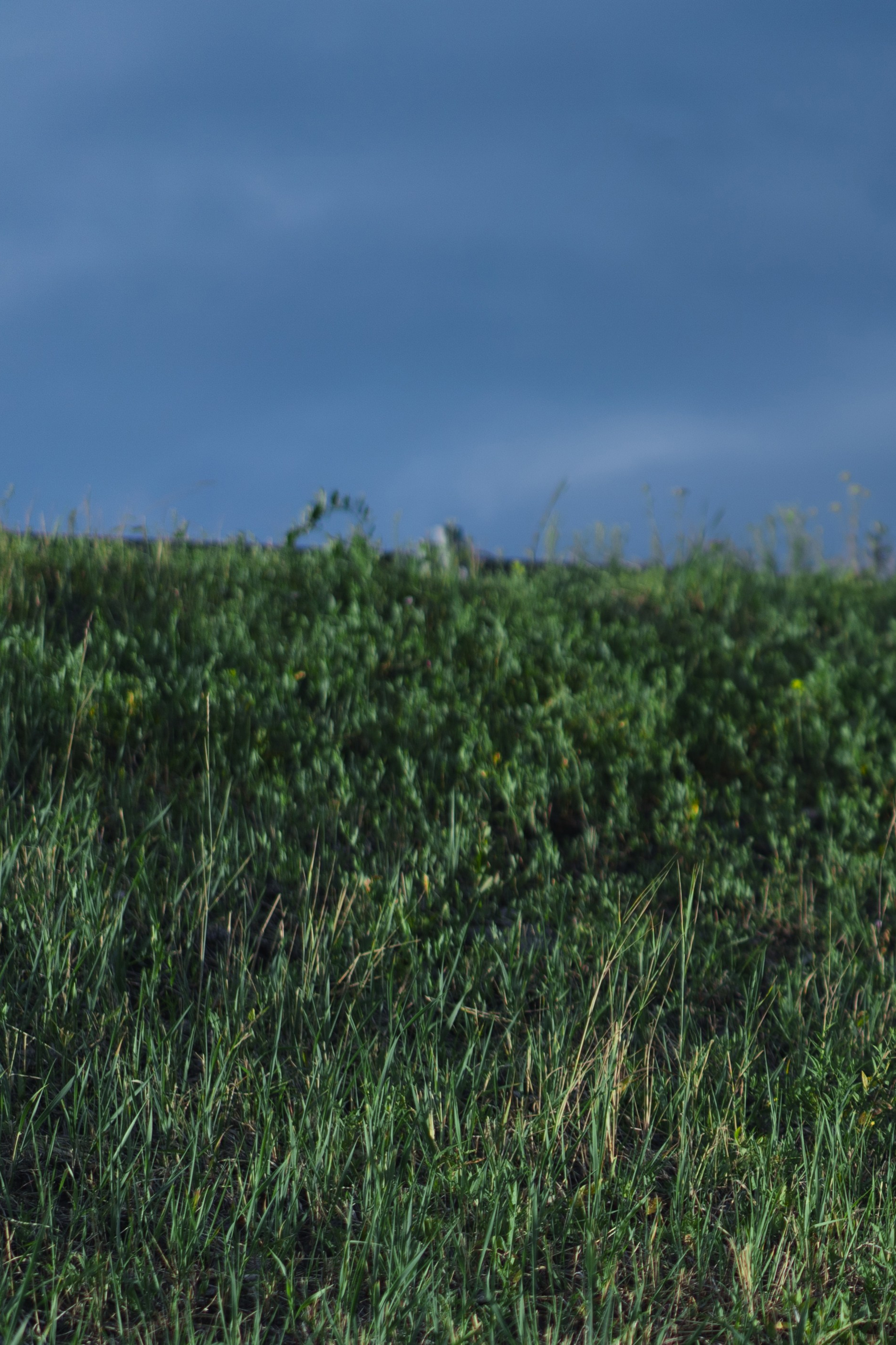 Истории. Портретный фотограф в Тюмени Александра Кондратьева