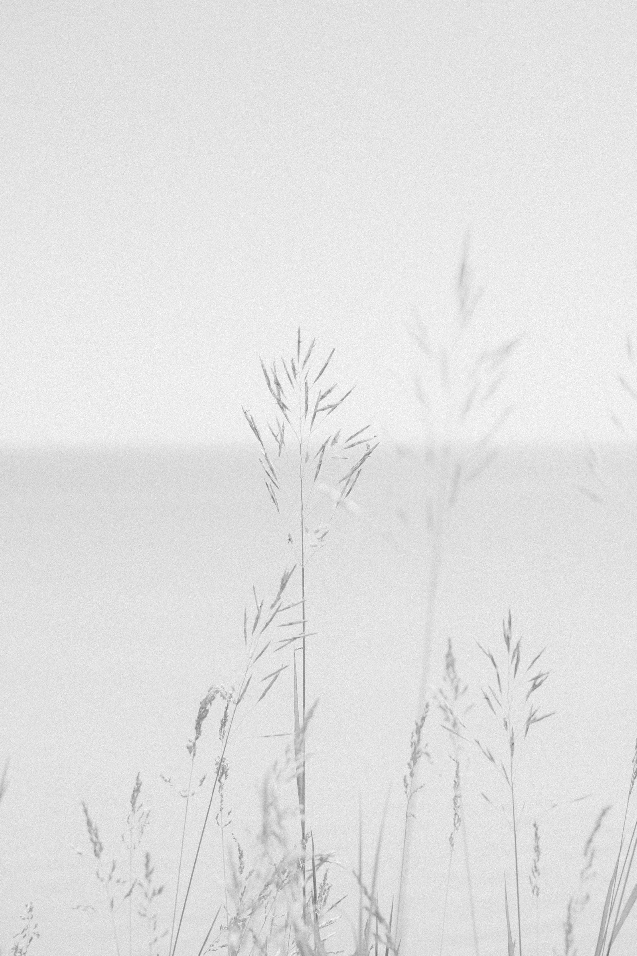 Rita. Фотограф в Новосибирске Попова Ксения