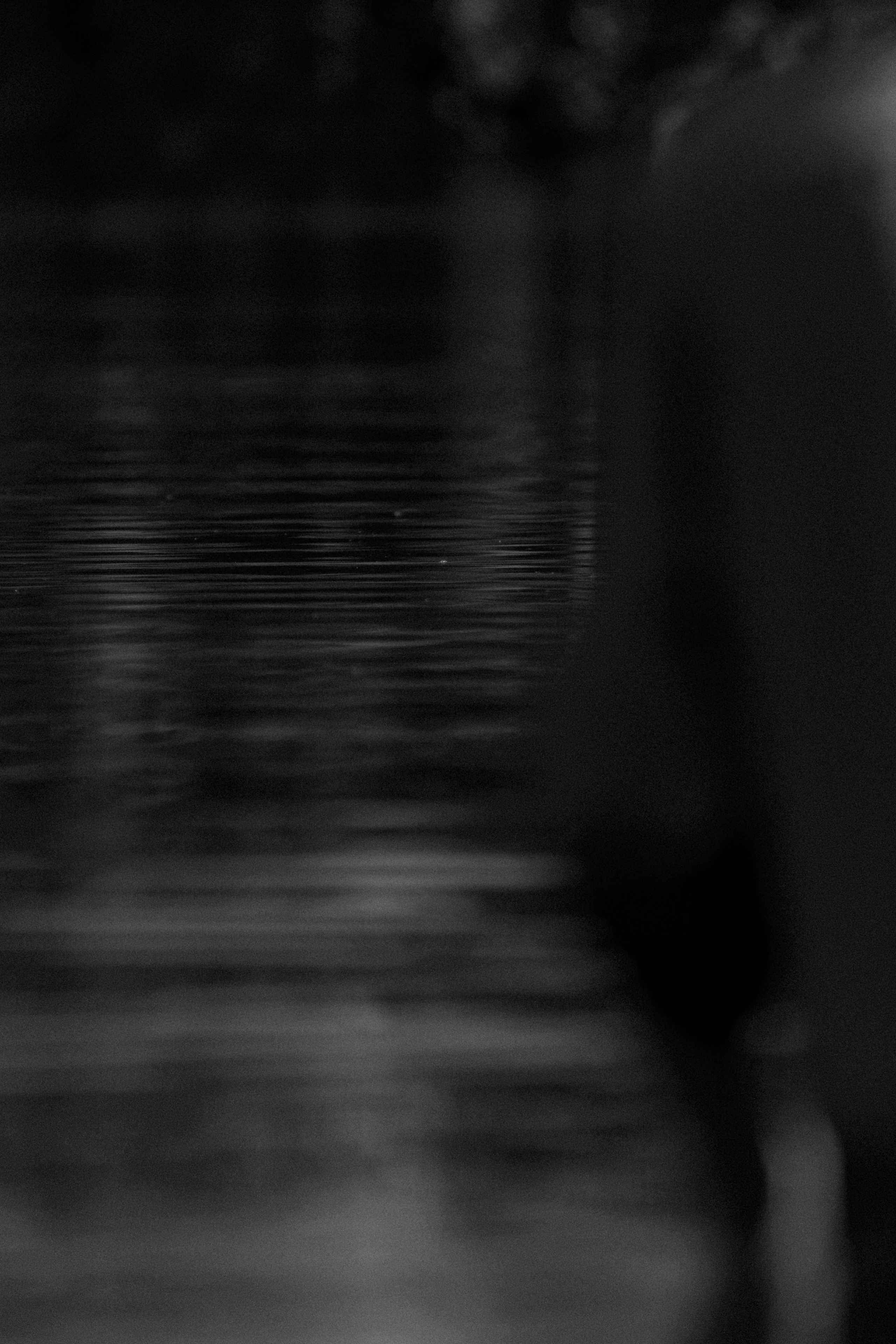 The dust. Фотограф в Новосибирске Попова Ксения