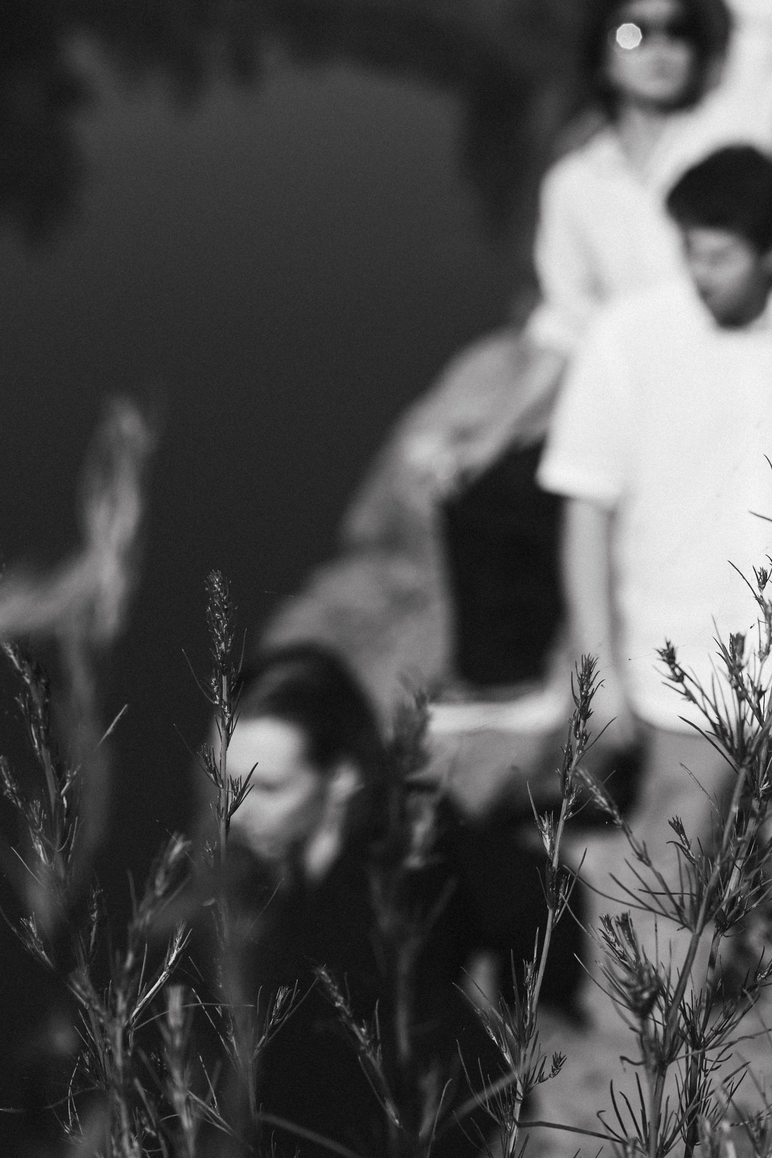 The dust. Фотограф в Новосибирске Попова Ксения