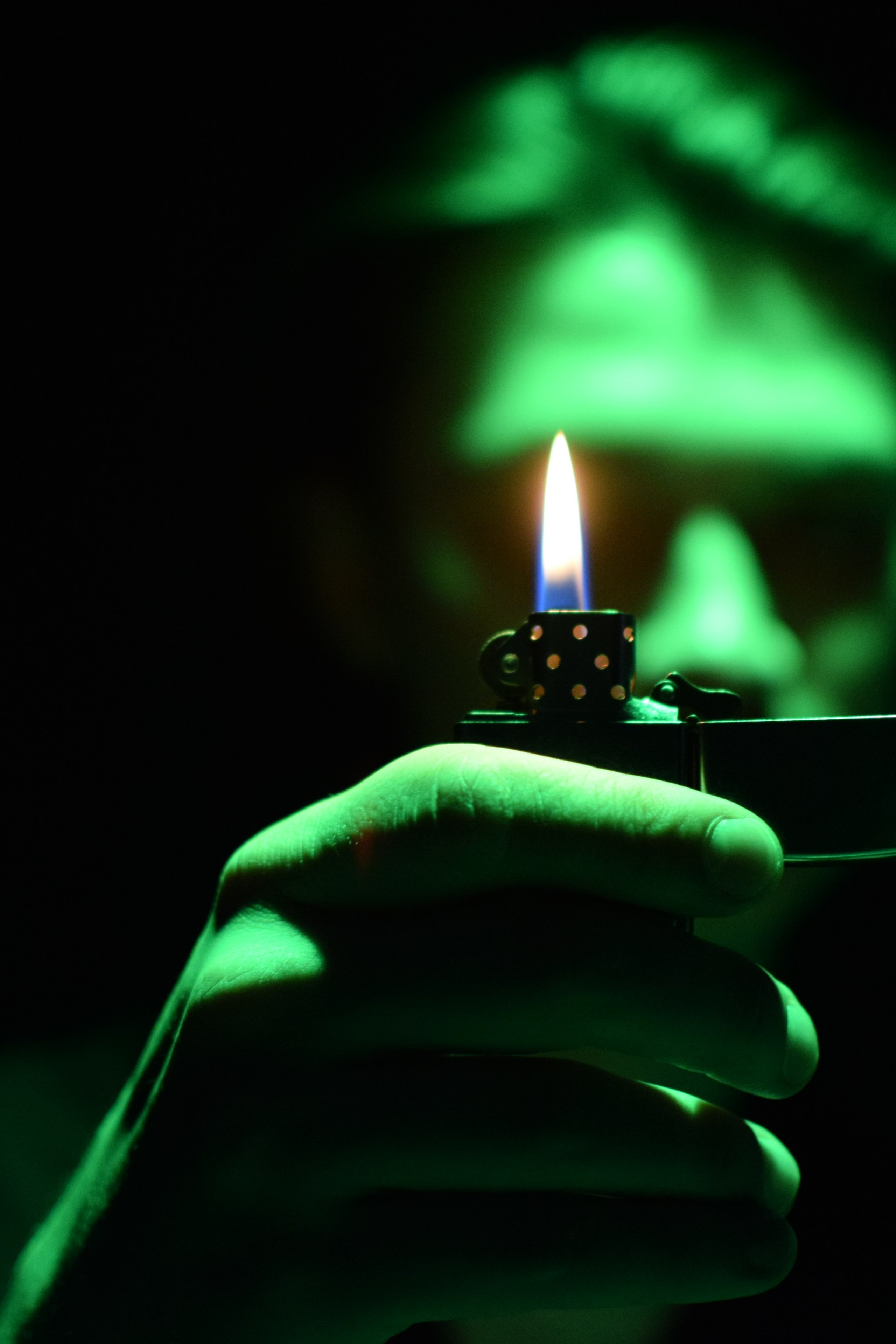 Sasha. Фотограф в Новосибирске Попова Ксения