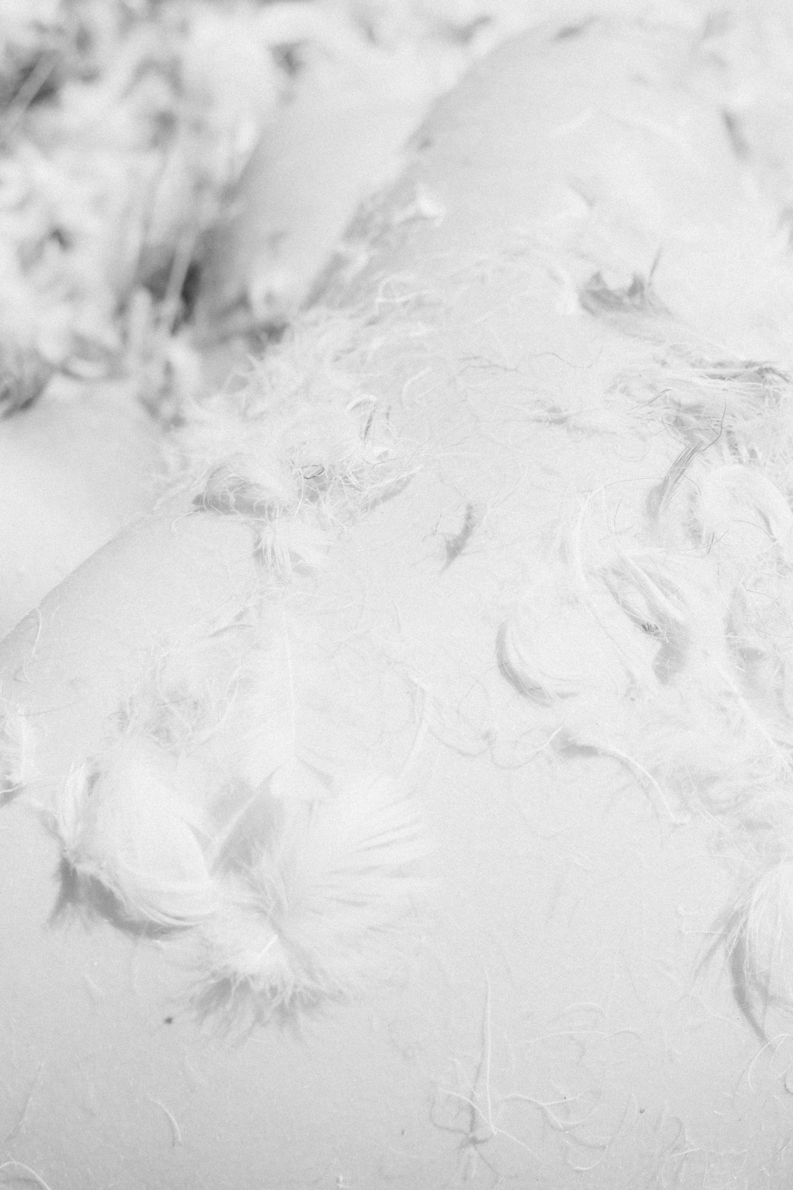 Rita. Фотограф в Новосибирске Попова Ксения