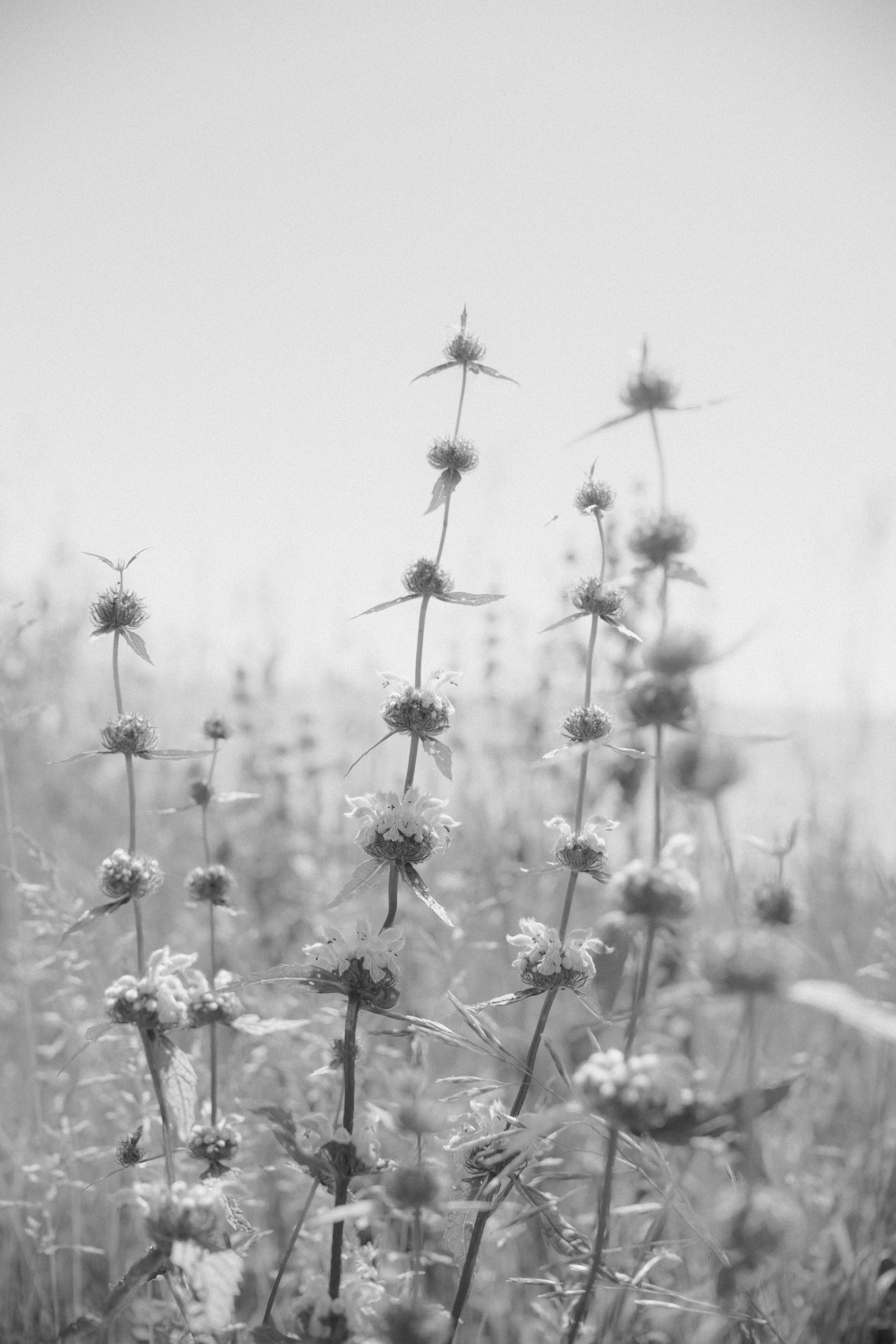 Rita. Фотограф в Новосибирске Попова Ксения