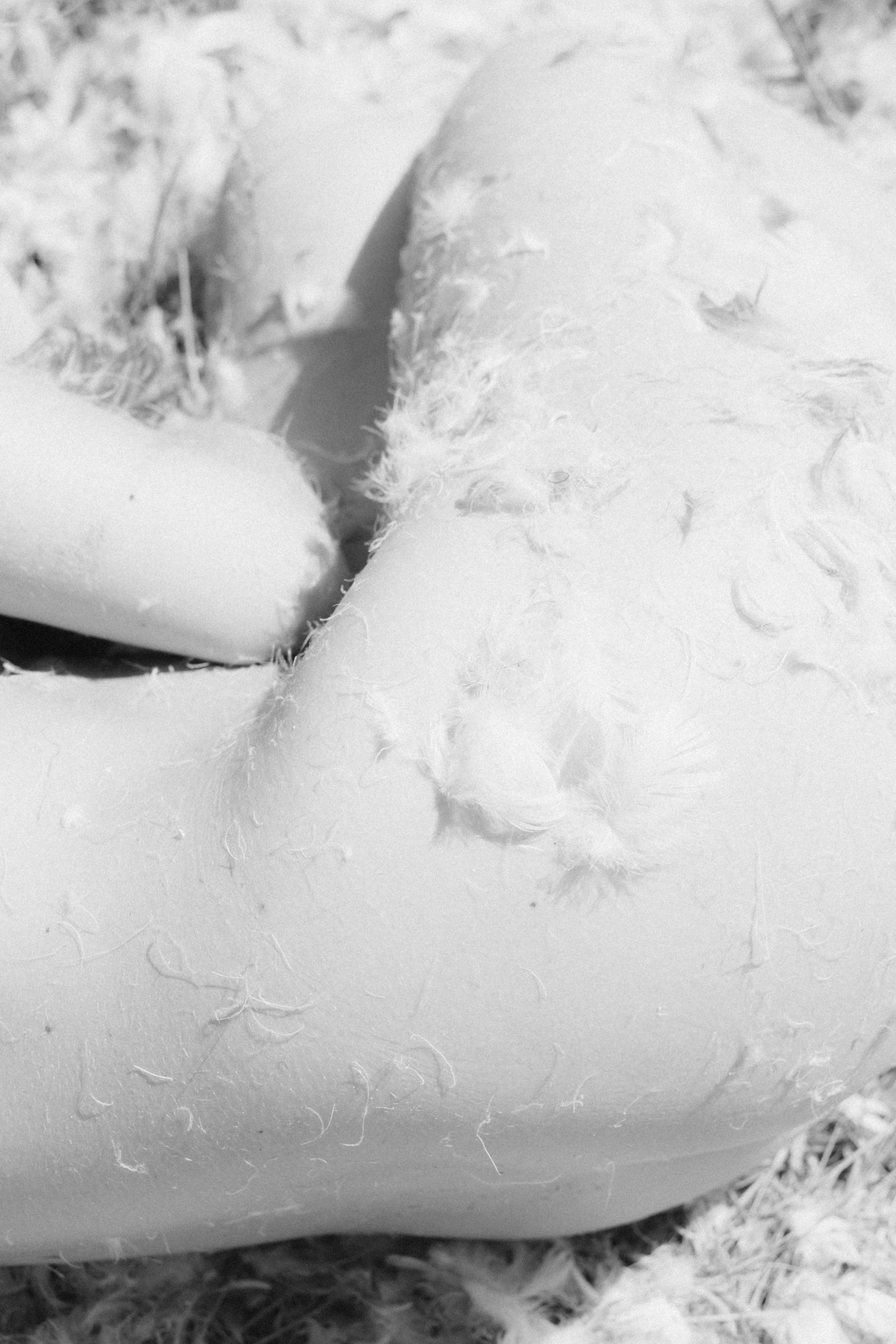 Rita. Фотограф в Новосибирске Попова Ксения