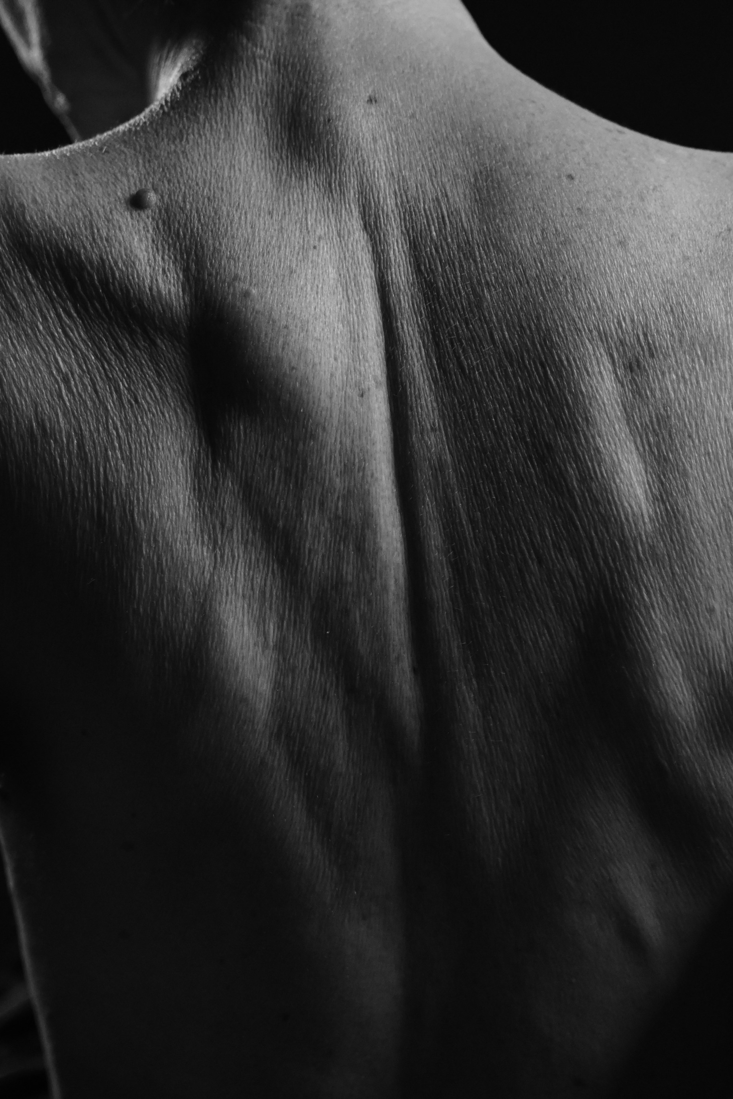 Zoya. Фотограф в Новосибирске Попова Ксения