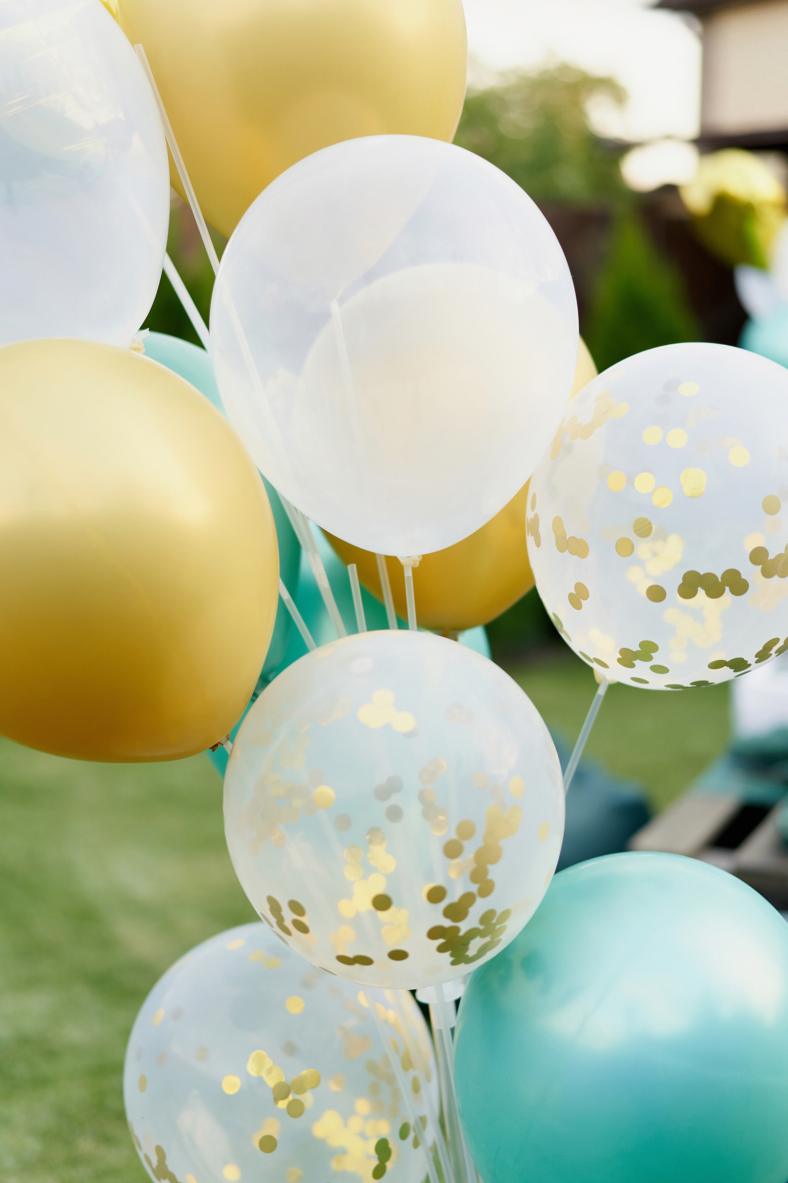 День Рождения